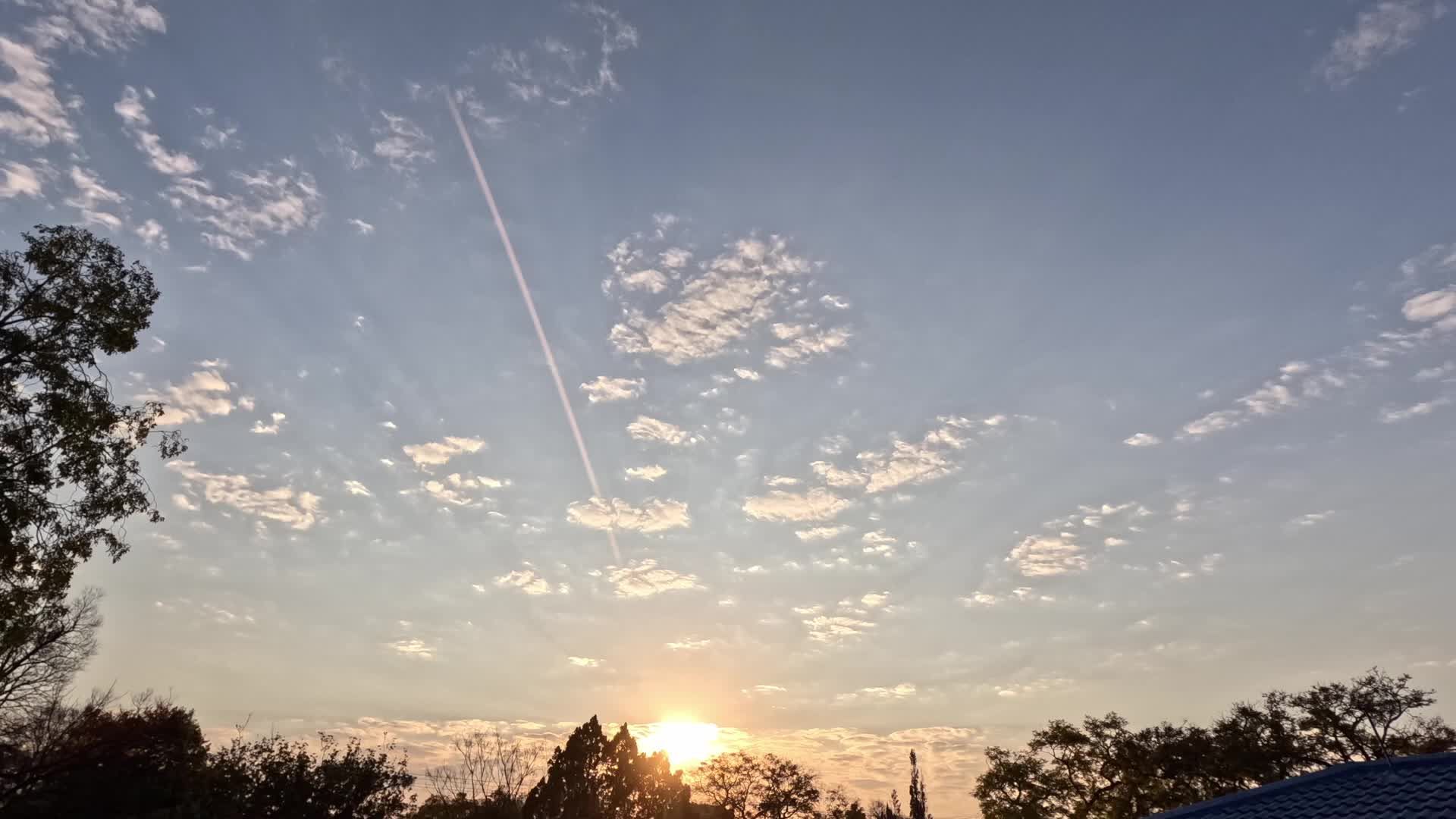 Video by Alexander F Ungerer