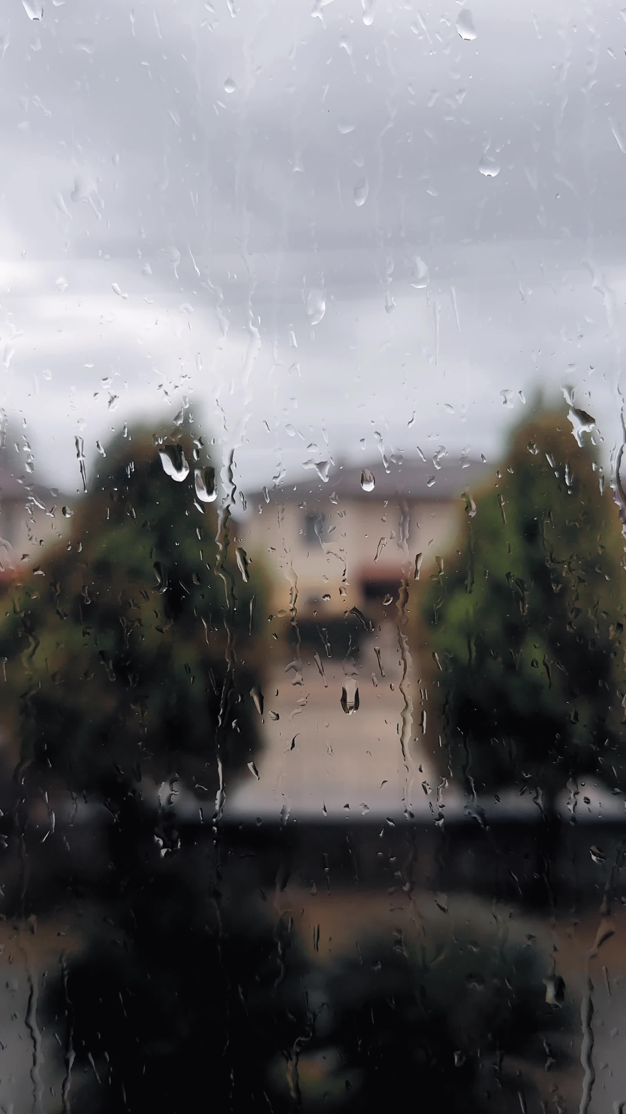 rainy day view through window glass 29236674