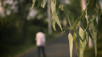 情绪短片视频素材视频素材免费下载高清视频视频素材