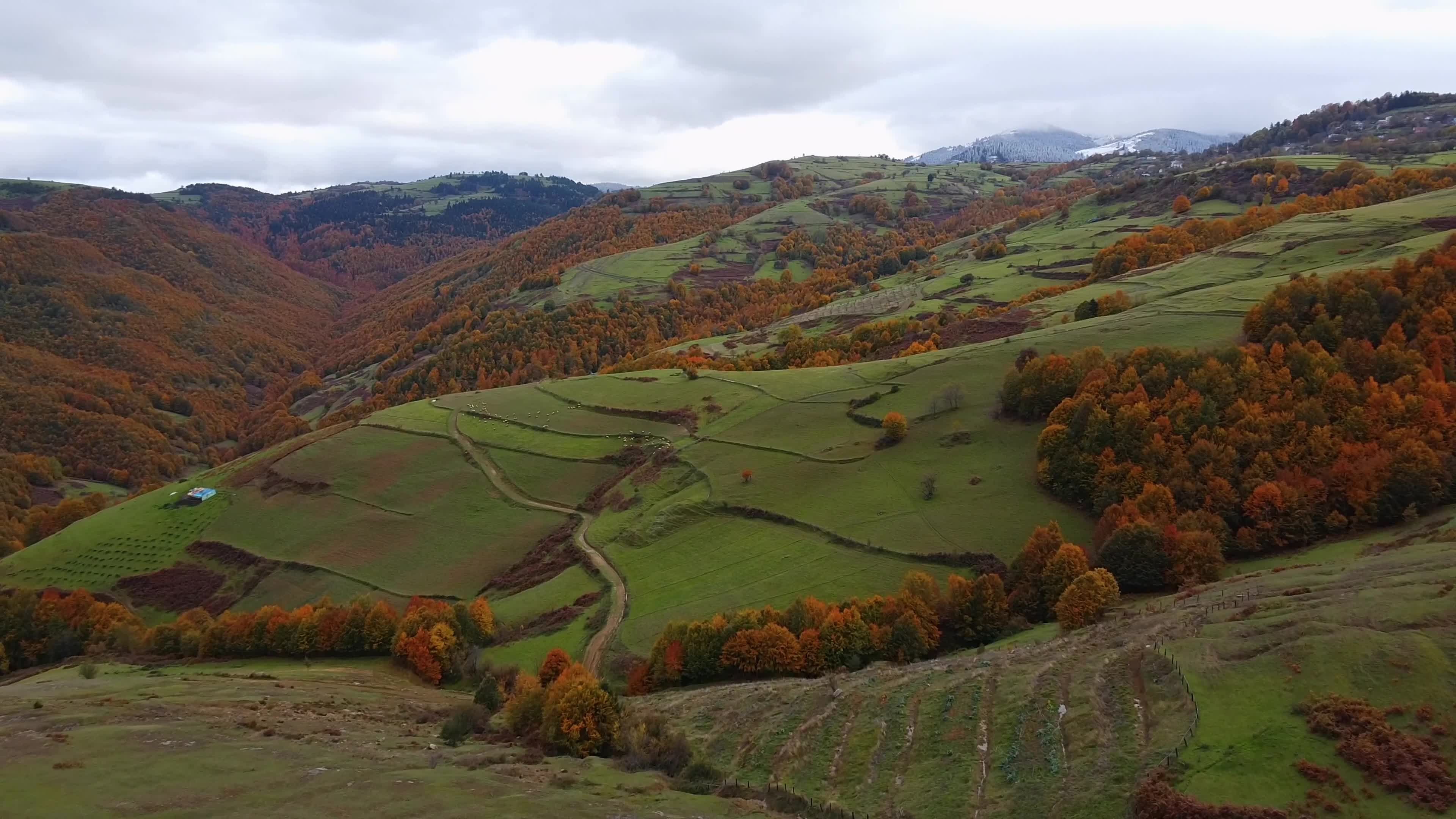 Mondes Nature 4k Videos, Download The BEST Free 4k Stock Video Footage ...