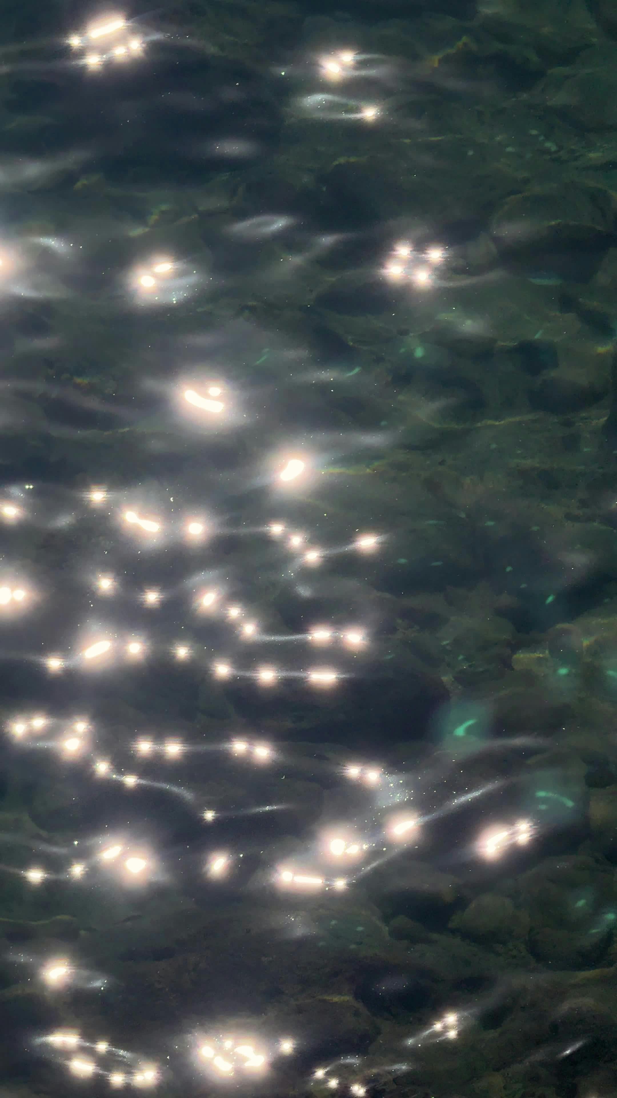 Video by Engin Akyurt