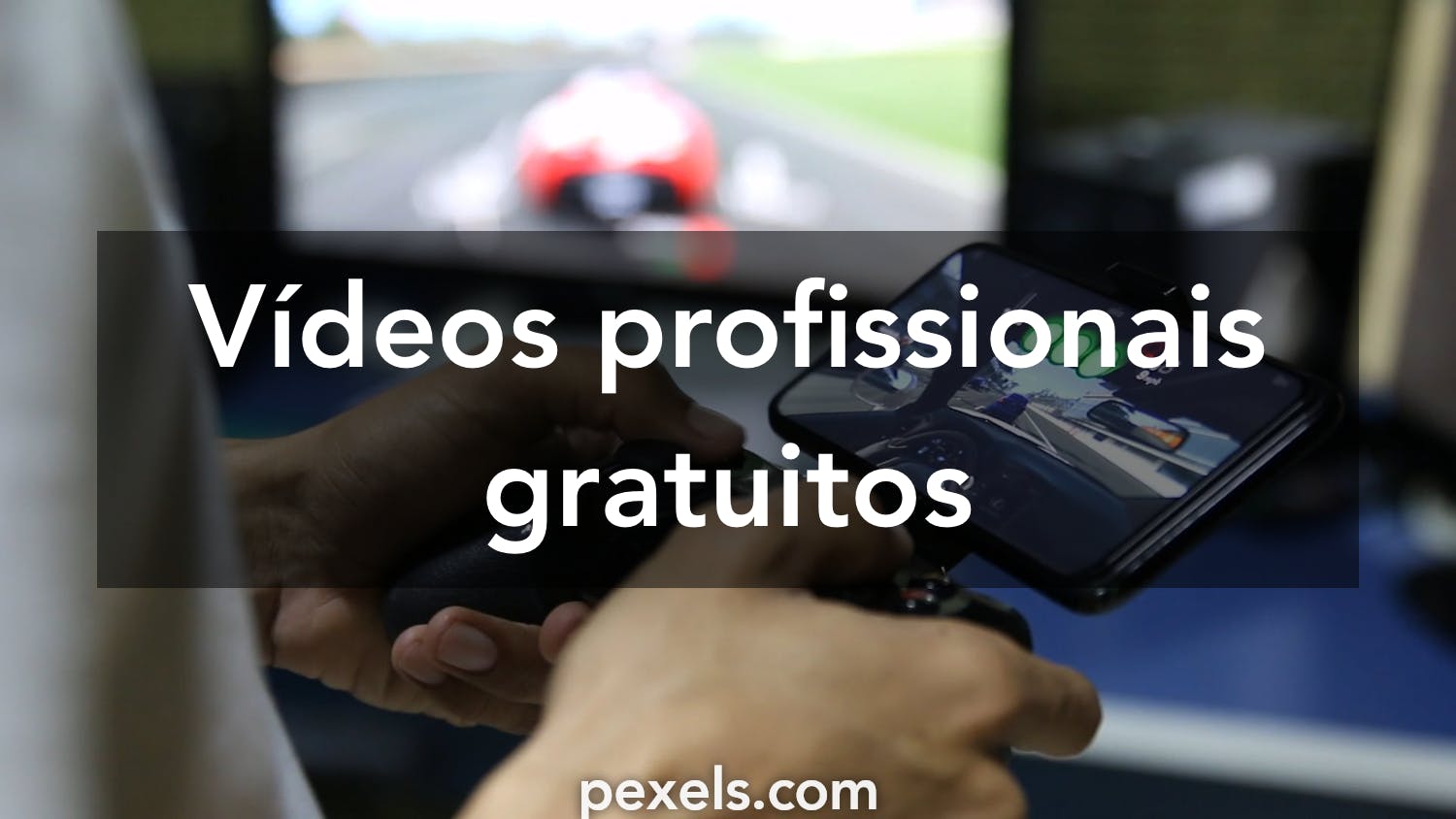 1.000+ melhores vídeos de Engraçado · Download 100% grátis · Vídeos  profissionais do Pexels