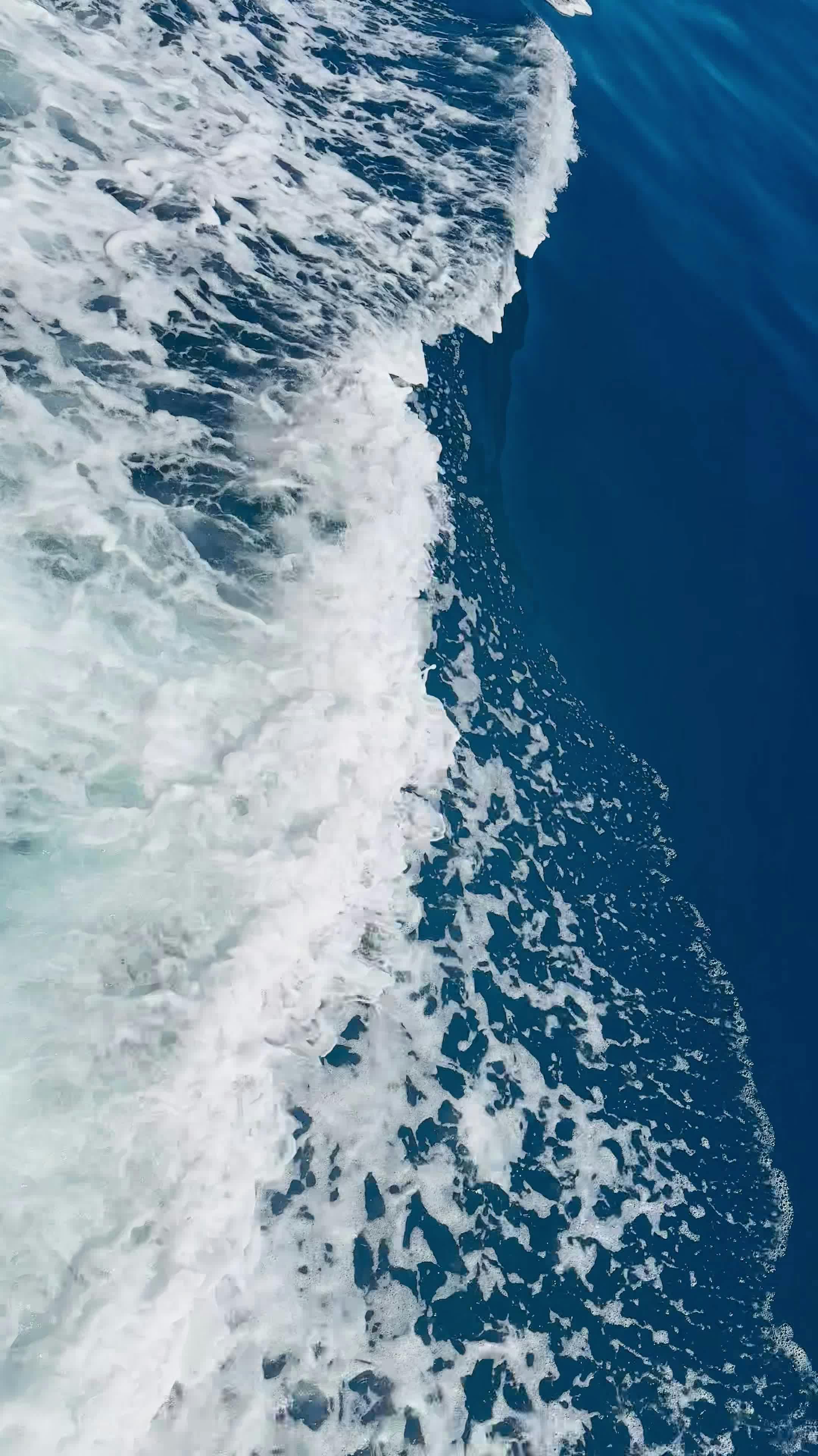 Pexels Video 29285421
