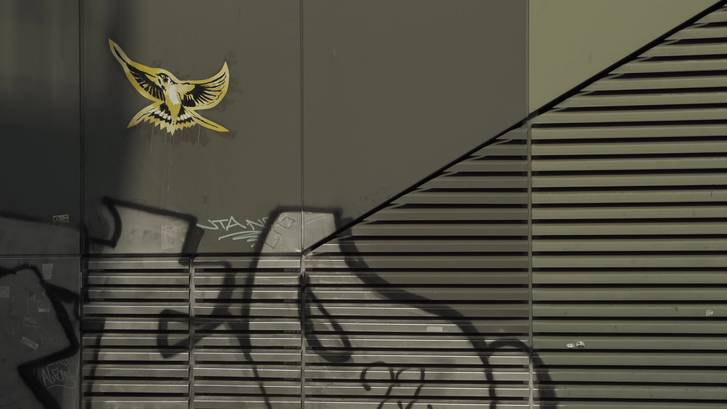 Visual Rbano Bird Urban Street Art with Bird and Graffiti Free Stock Video Footage ...