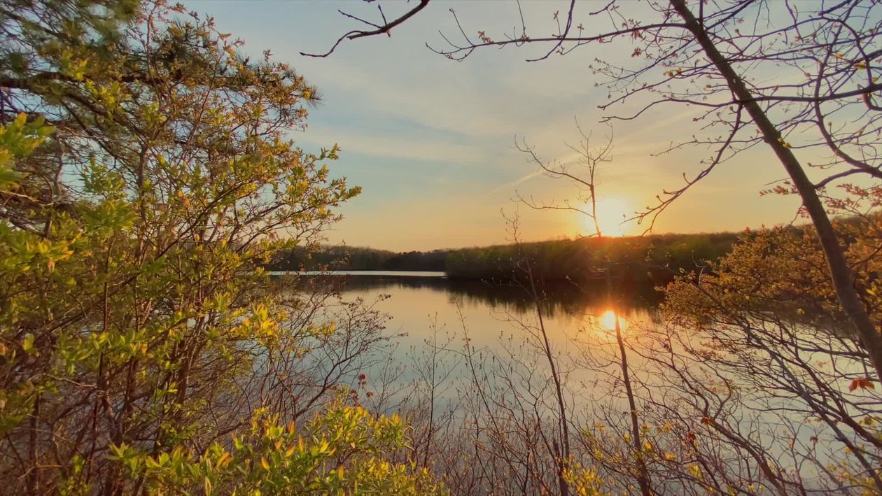 Serene Sunset Over a Peaceful Lake in Spring Free Stock Video Footage ...