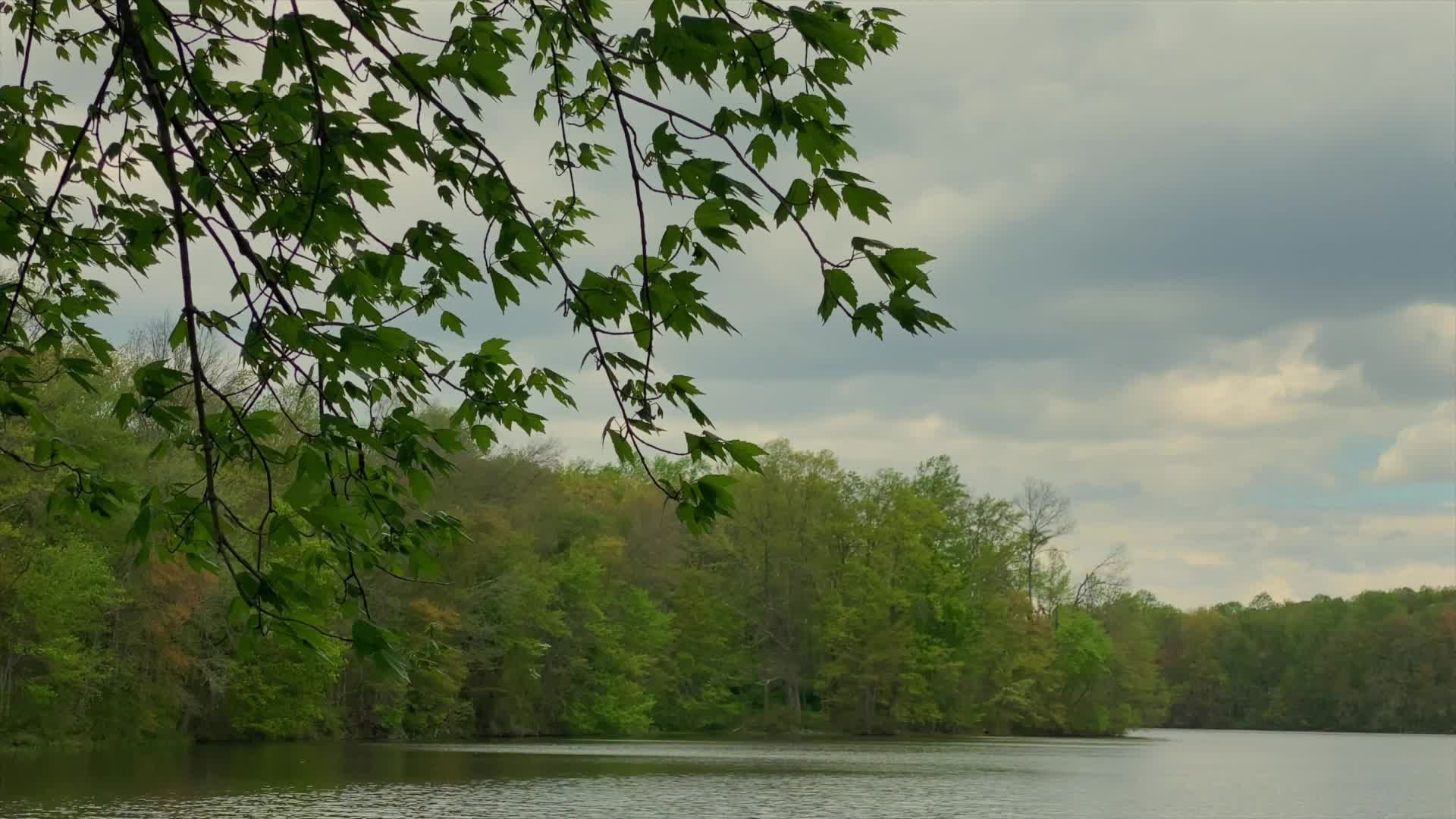 Video by AP Vibes