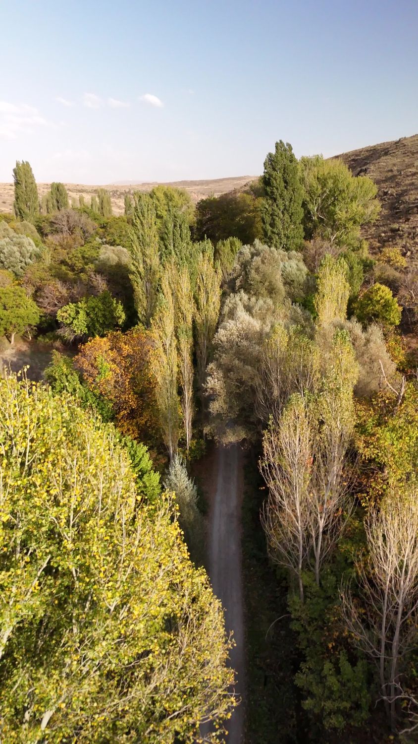 Aerial View of Colorful Autumn Forest Path Free Stock Video Footage ...