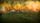 fantasy landscape