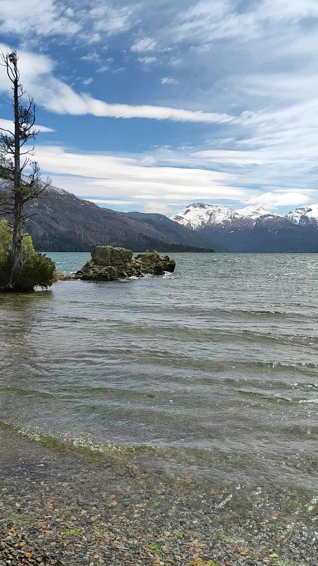 Video by Luciana Scherbosky