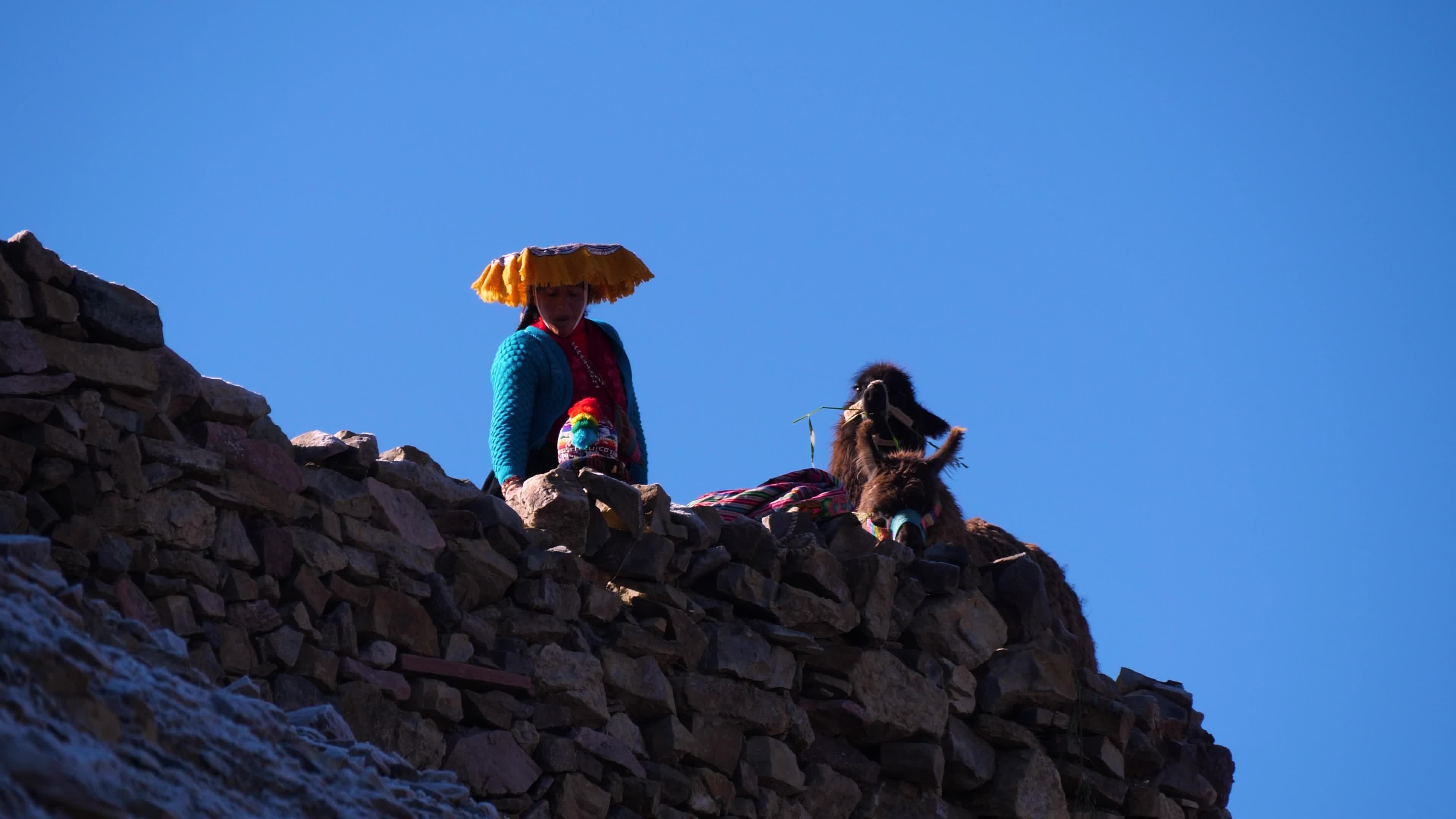 Rural Peruvian Woman with Llama on Mountain Ruins Free Stock Video ...