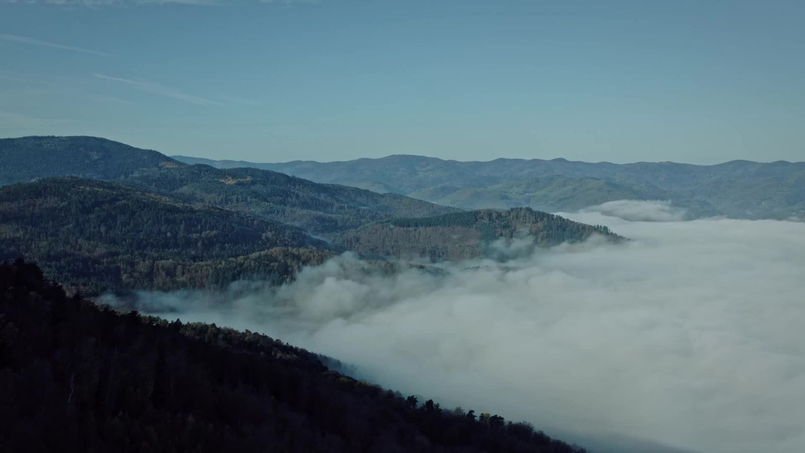 Aerial View of Misty Autumn Forest Landscape Free Stock Video Footage ...