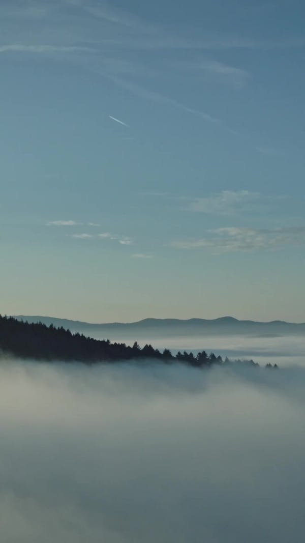 Reel Background Videos, Download The BEST Free 4k Stock Video Footage ...