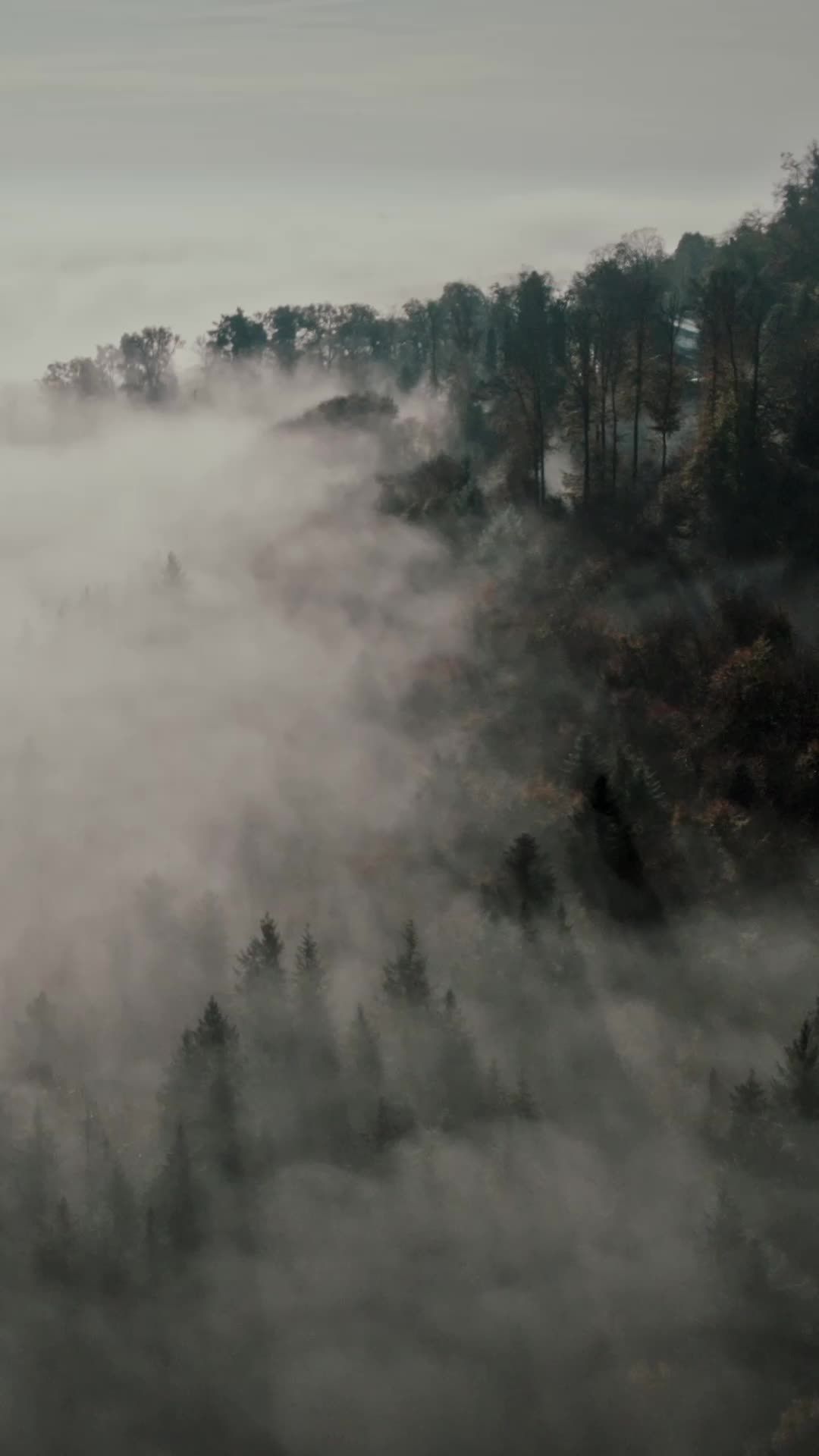 Reel Background Videos, Download The BEST Free 4k Stock Video Footage ...