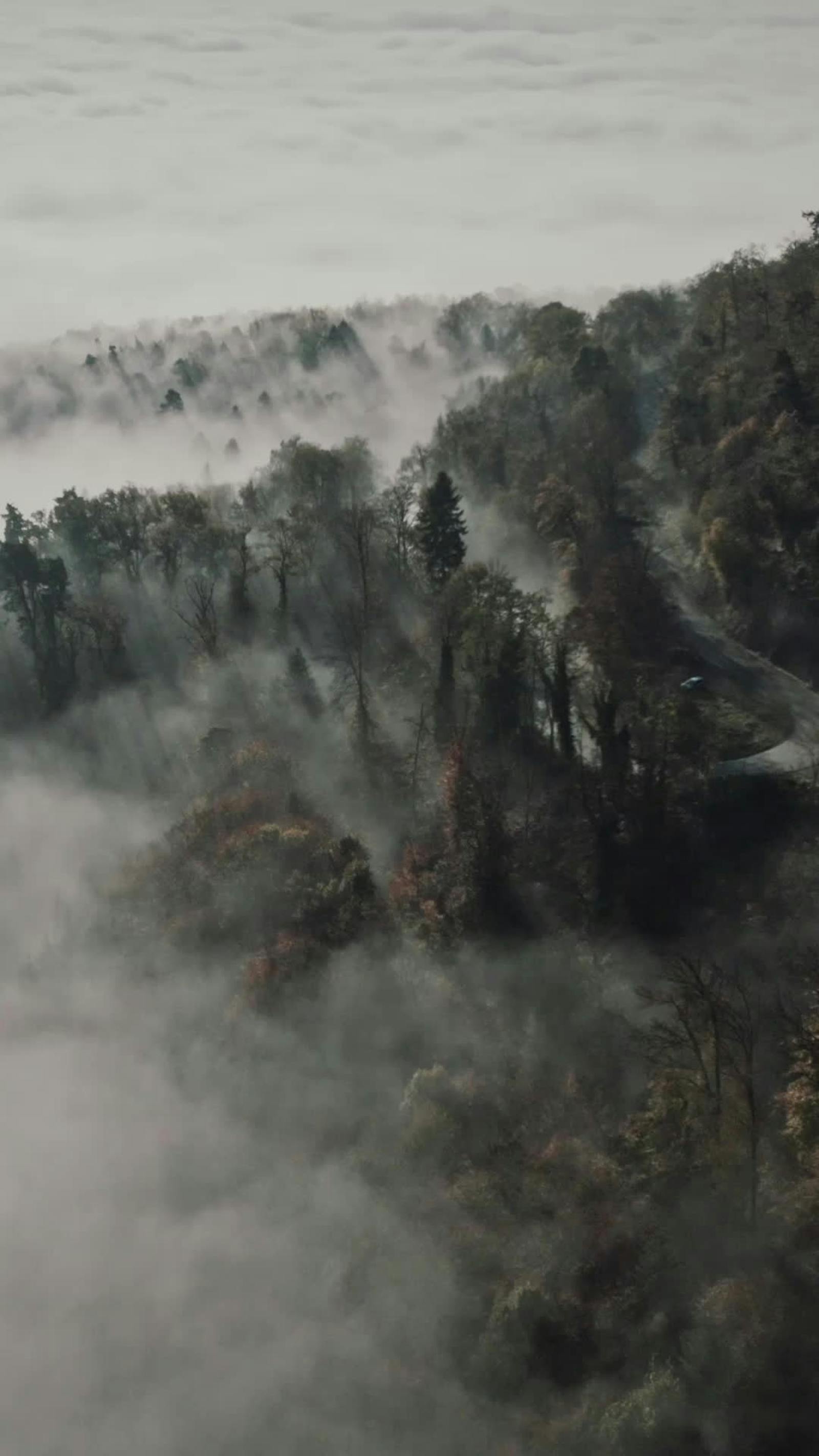 Reel Background Videos, Download The BEST Free 4k Stock Video Footage ...