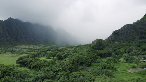 Thick Fogs On A Mountain Valley