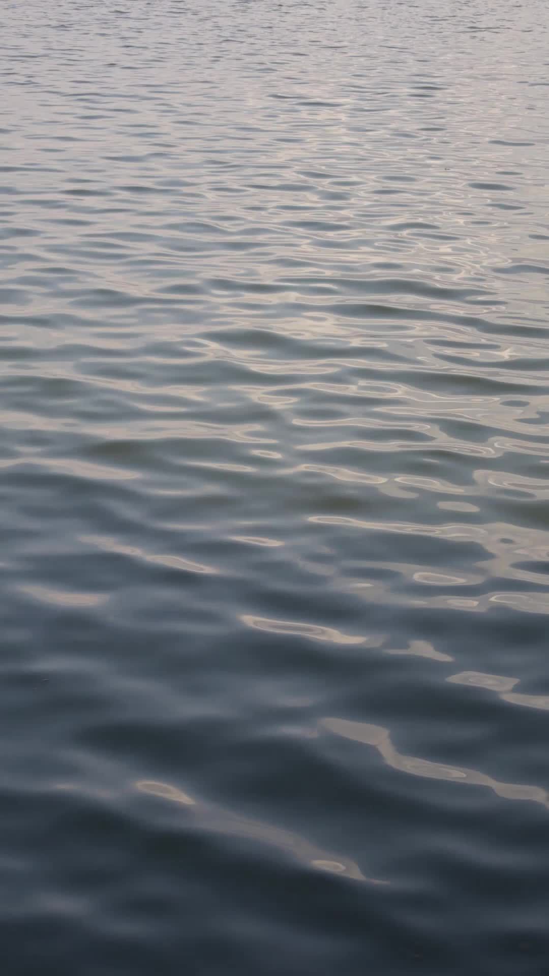 Peaceful Rippling Water Surface at Sunset Free Stock Video Footage ...