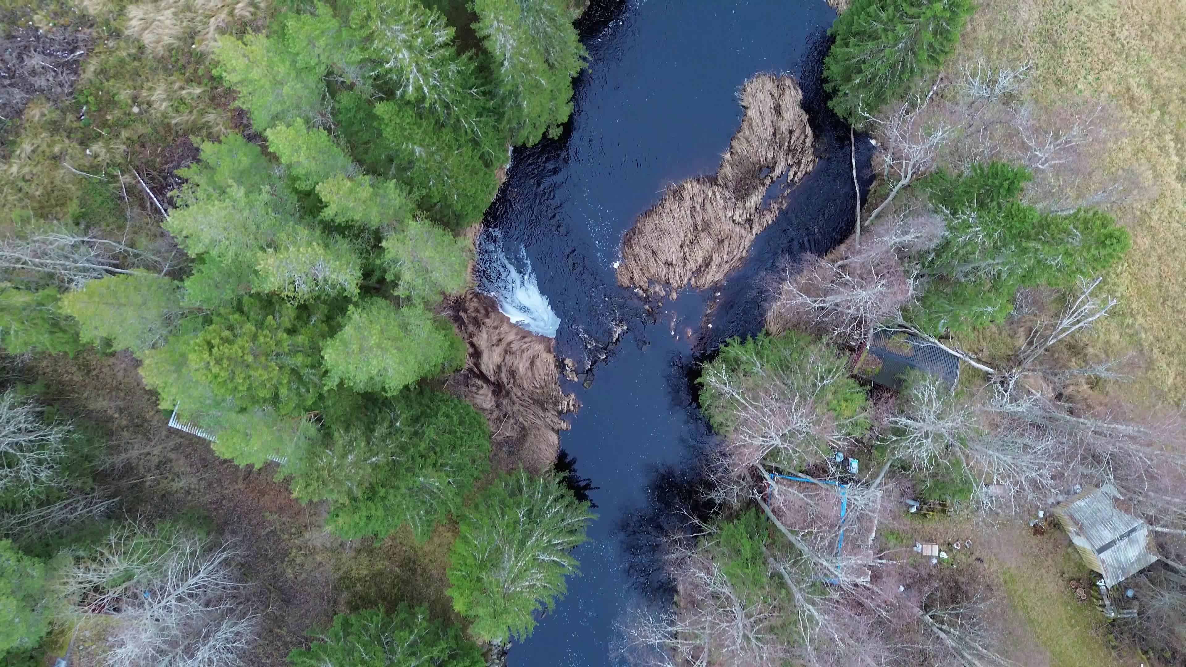 Aerial View of Serene Forest River in Spring Free Stock Video Footage ...