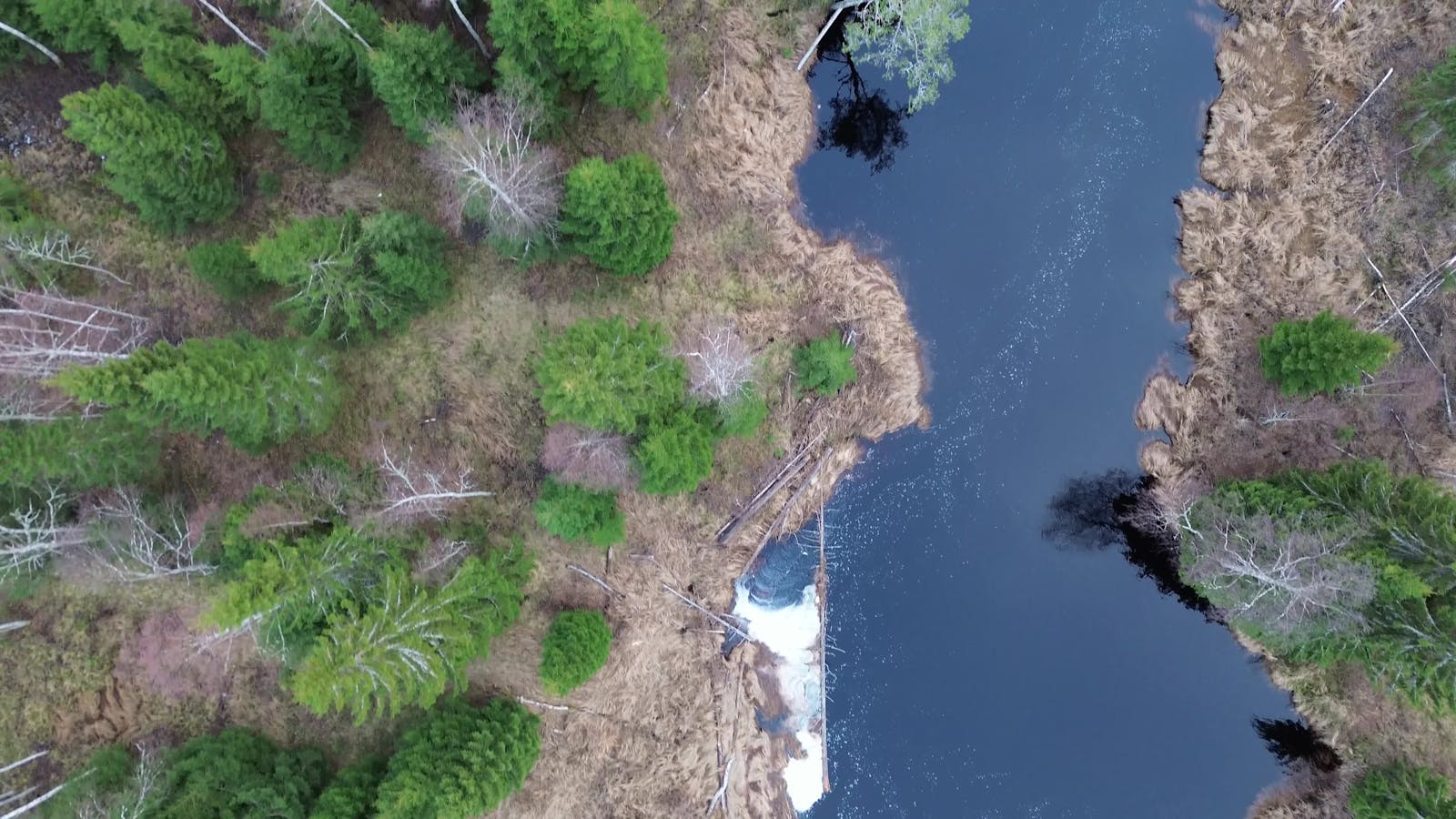 Free Footage Videos Download The BEST Free 4k Stock Video Footage Free Footage Videos Download The BEST Free 4k Stock Video Footage