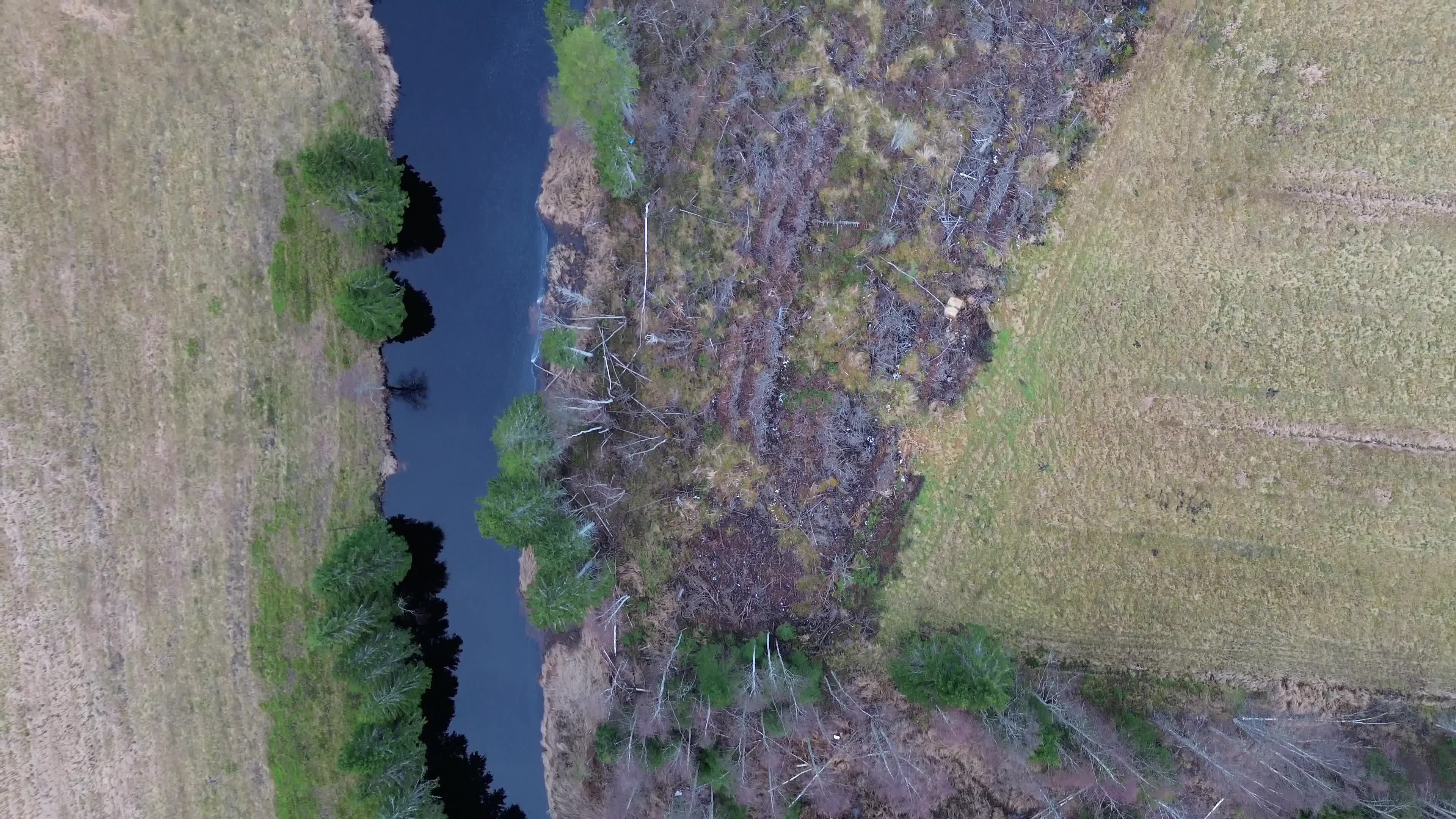 Video by SALAR ♛