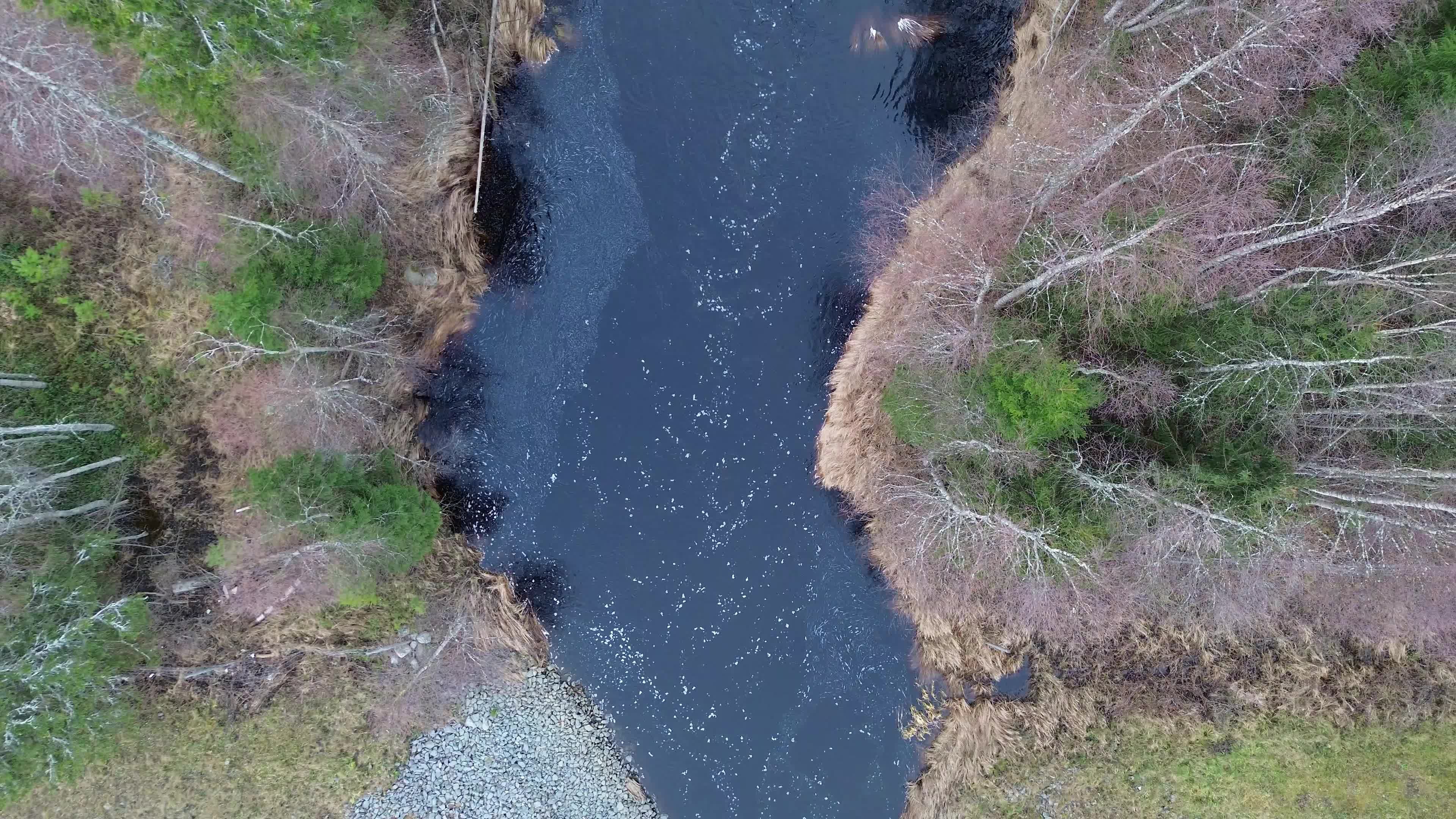 Aerial View of Tranquil Forest River in Spring Free Stock Video Footage ...