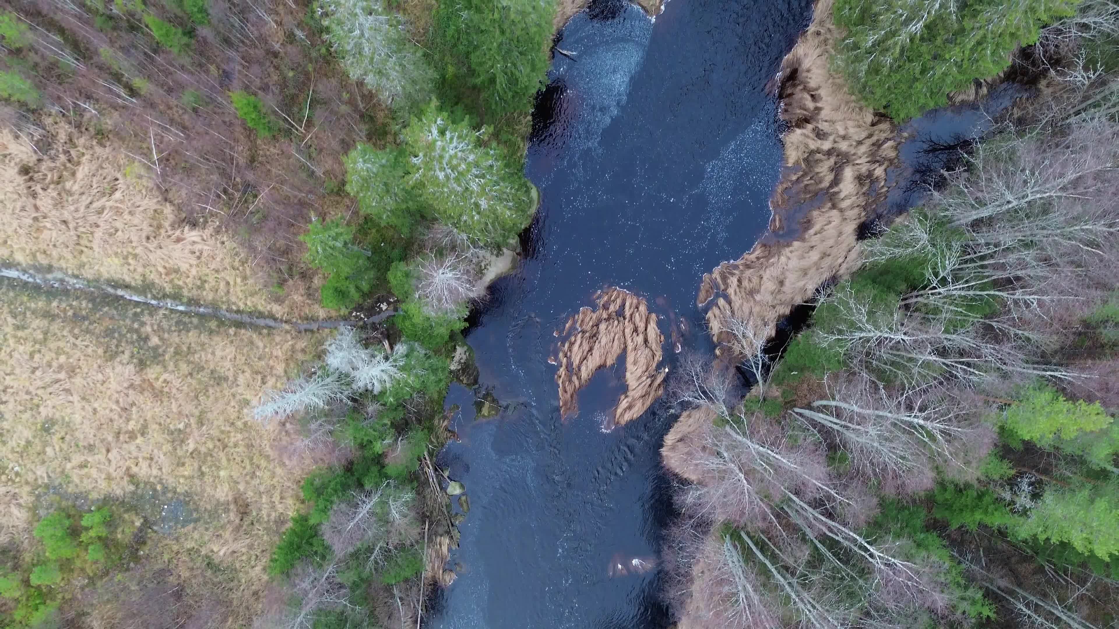 Video by SALAR ♛
