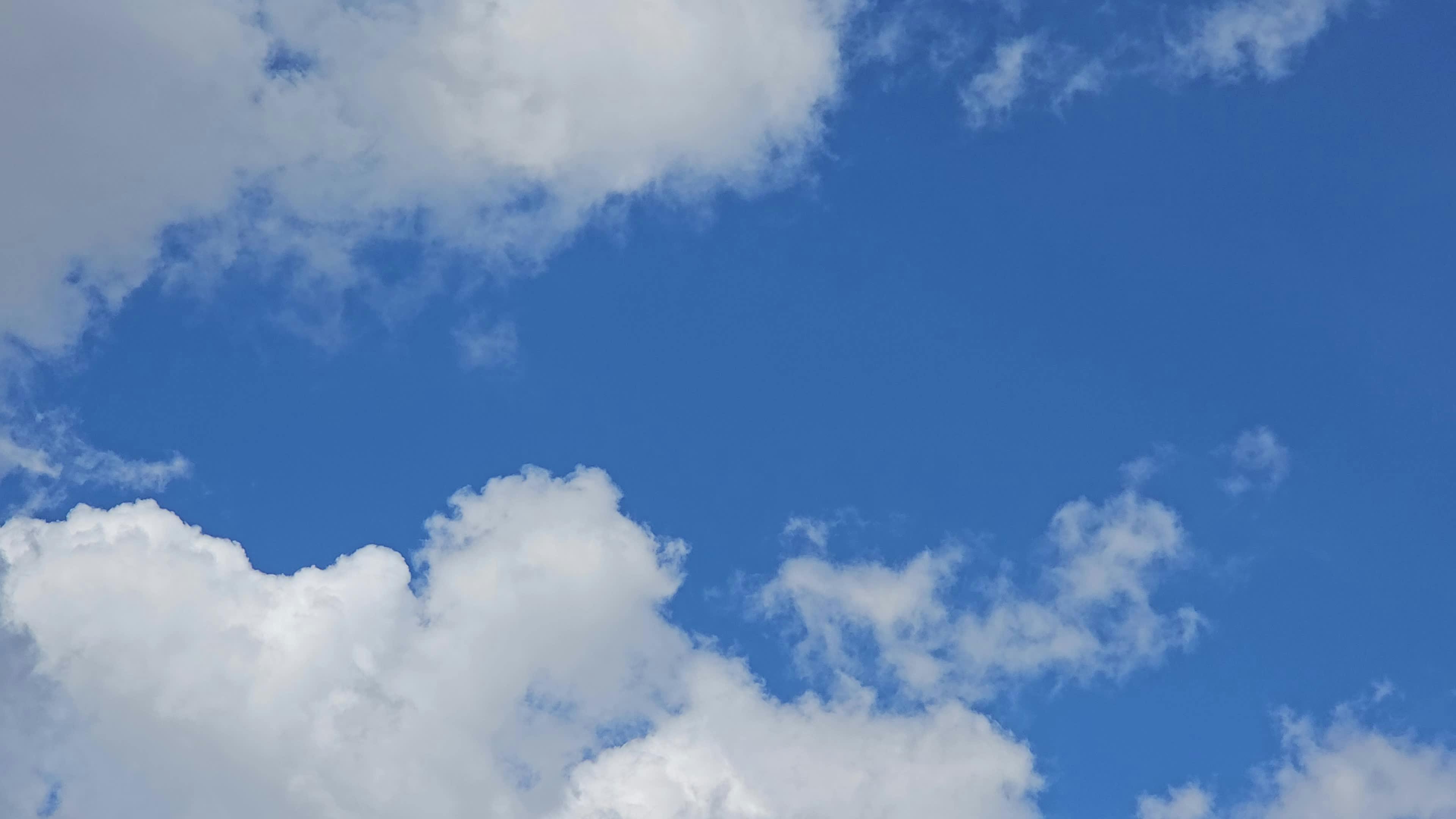 Video by Alexandre M Freitas