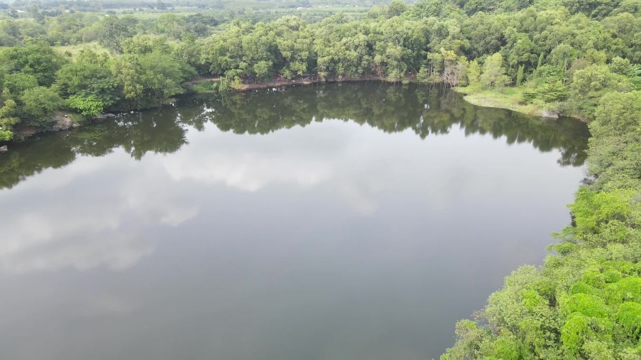 Serene Aerial View of Tranquil Forest Lake Free Stock Video Footage ...