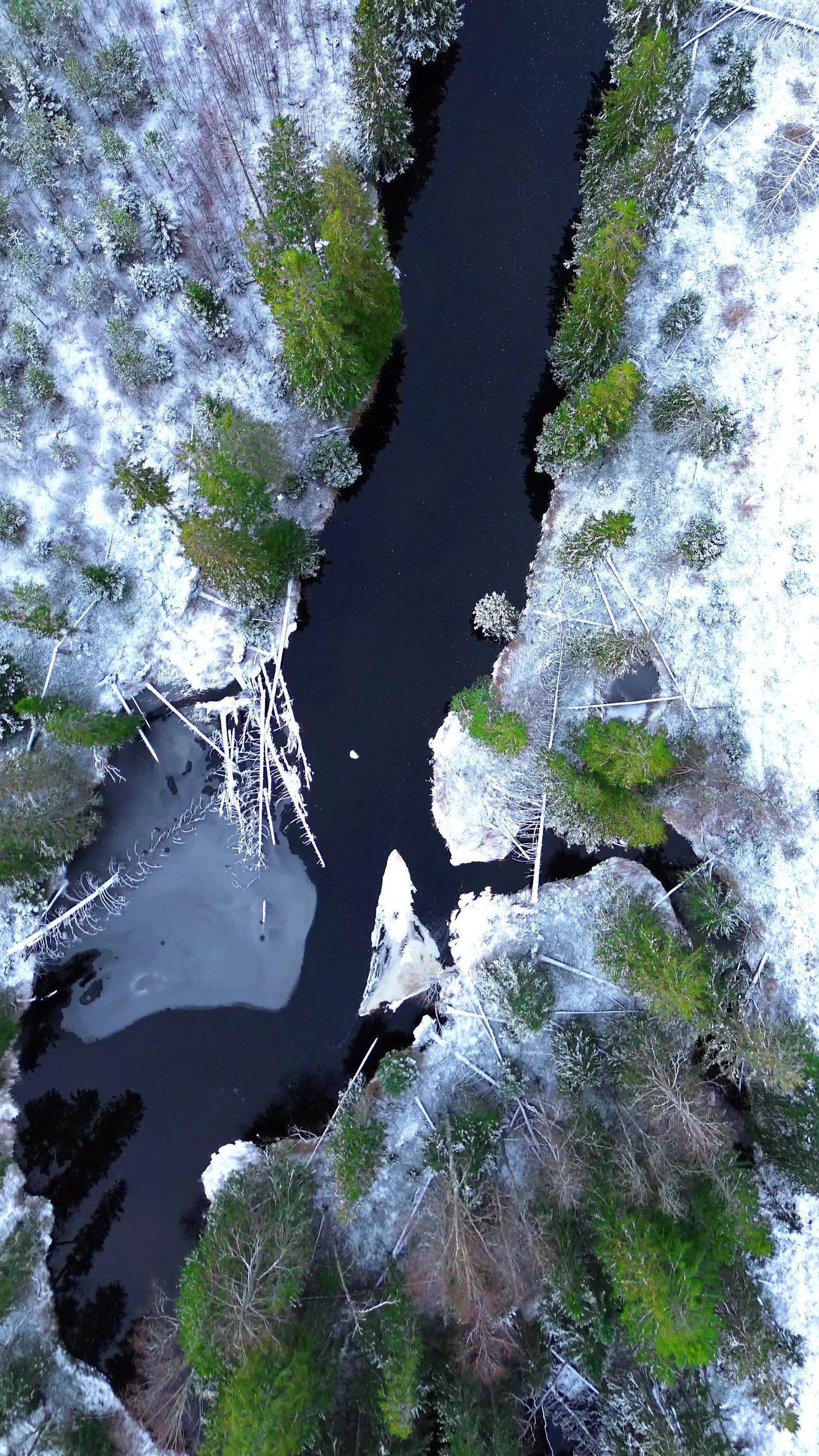 Stunning Winter Drone Footage of Snowy Forest Free Stock Video Footage ...