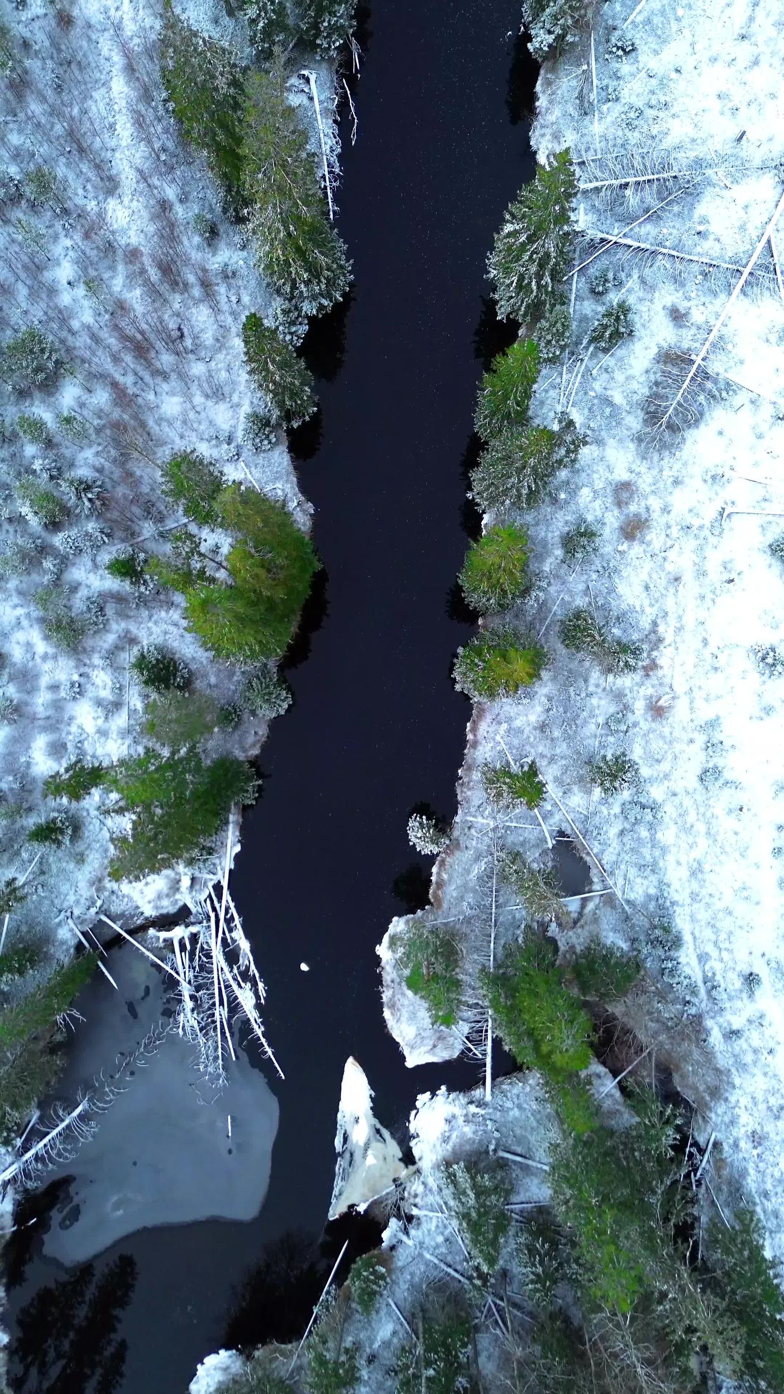 Stunning Winter Drone Footage of Snowy Forest Free Stock Video Footage ...