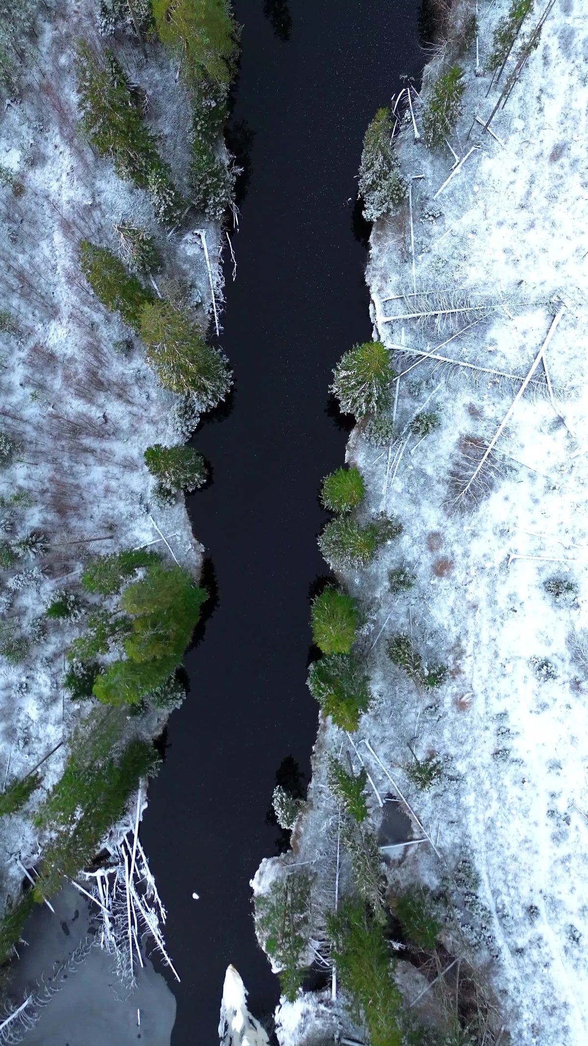 Stunning Winter Drone Footage of Snowy Forest Free Stock Video Footage ...