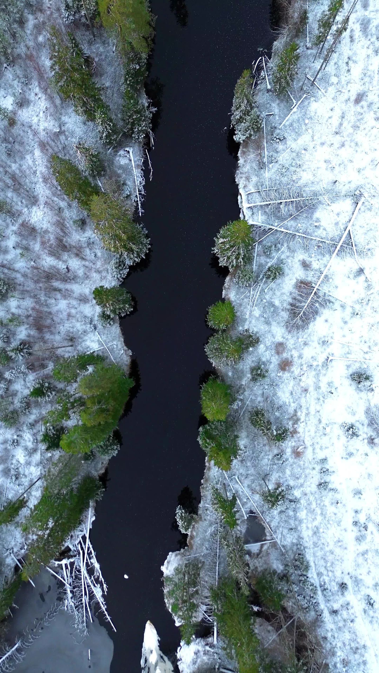 Stunning Winter Drone Footage of Snowy Forest Free Stock Video Footage ...