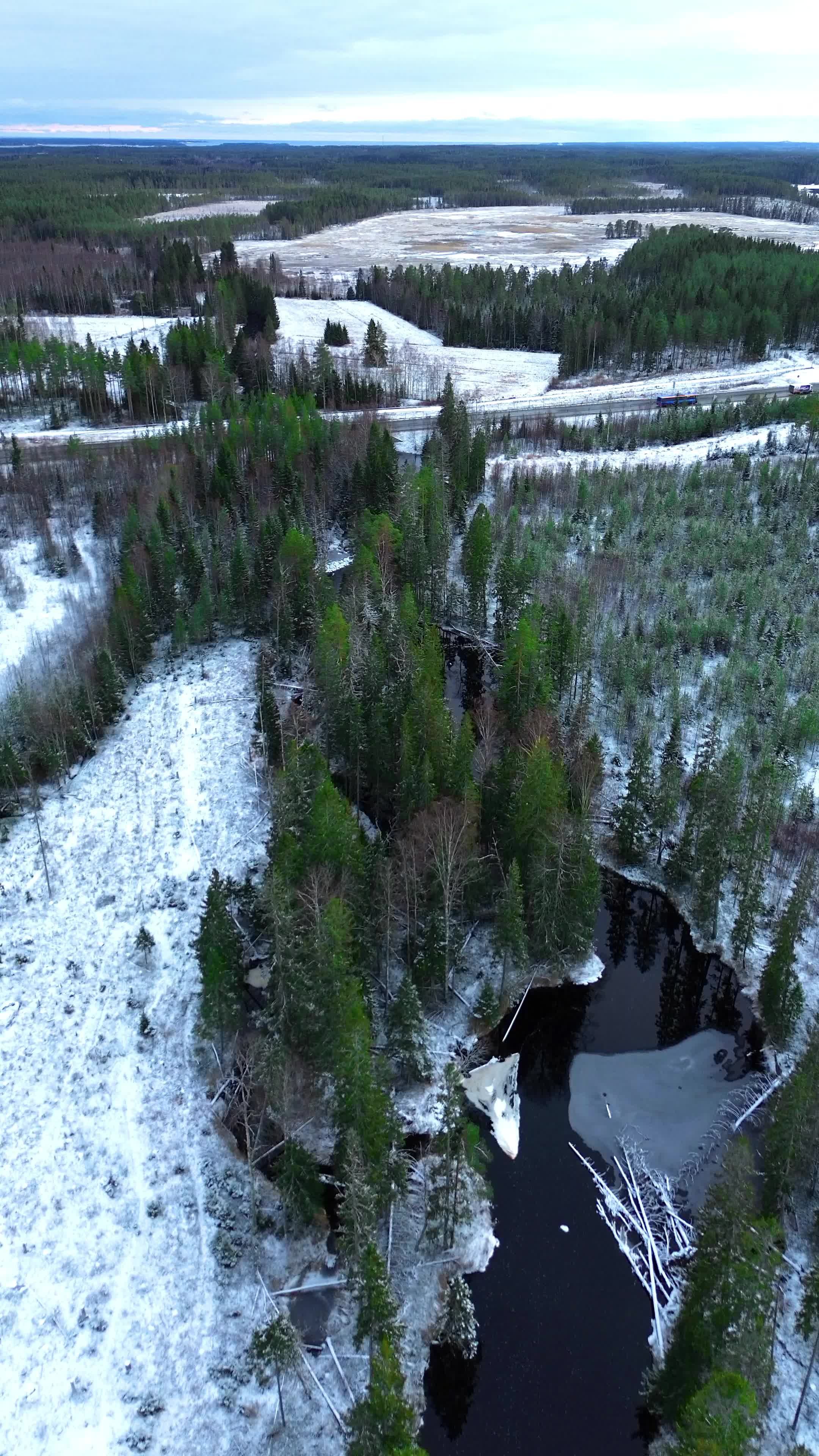 Stunning Aerial View of Snow-Covered Forest Free Stock Video Footage ...