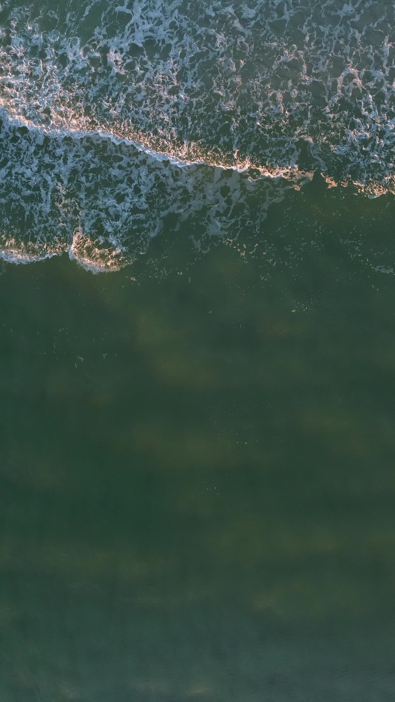 Video by Landon Morgan