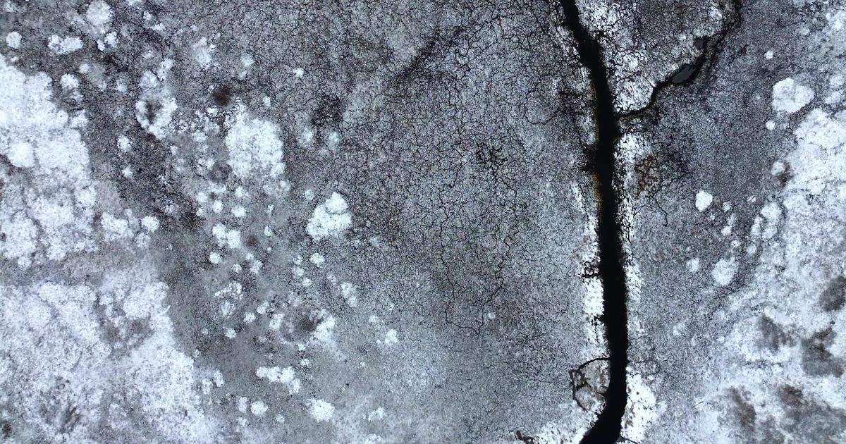 Pexels Video 29504947