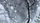 cracked earth