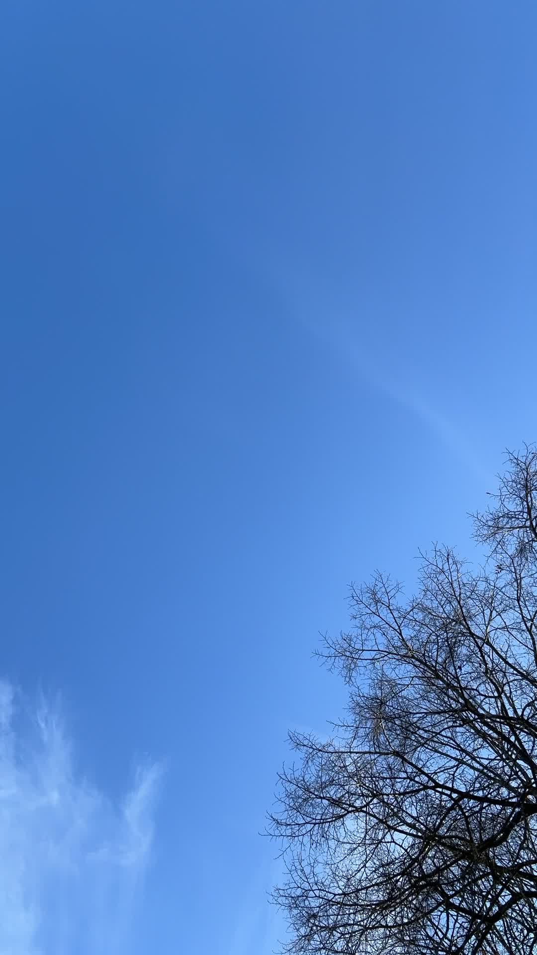 Video by Bav Vadgama