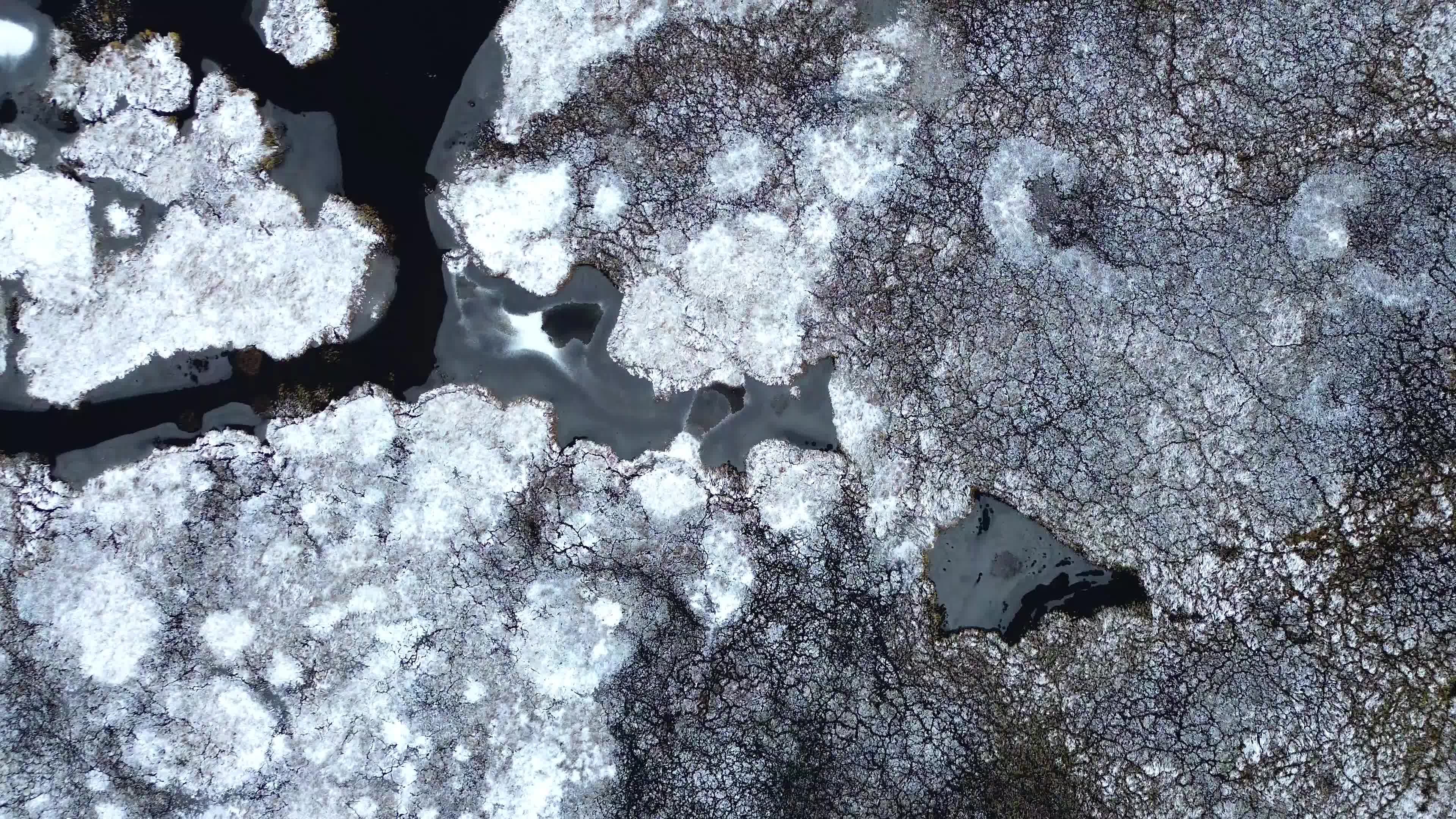 Aerial View of Snow-Covered Winter Landscape Free Stock Video Footage ...