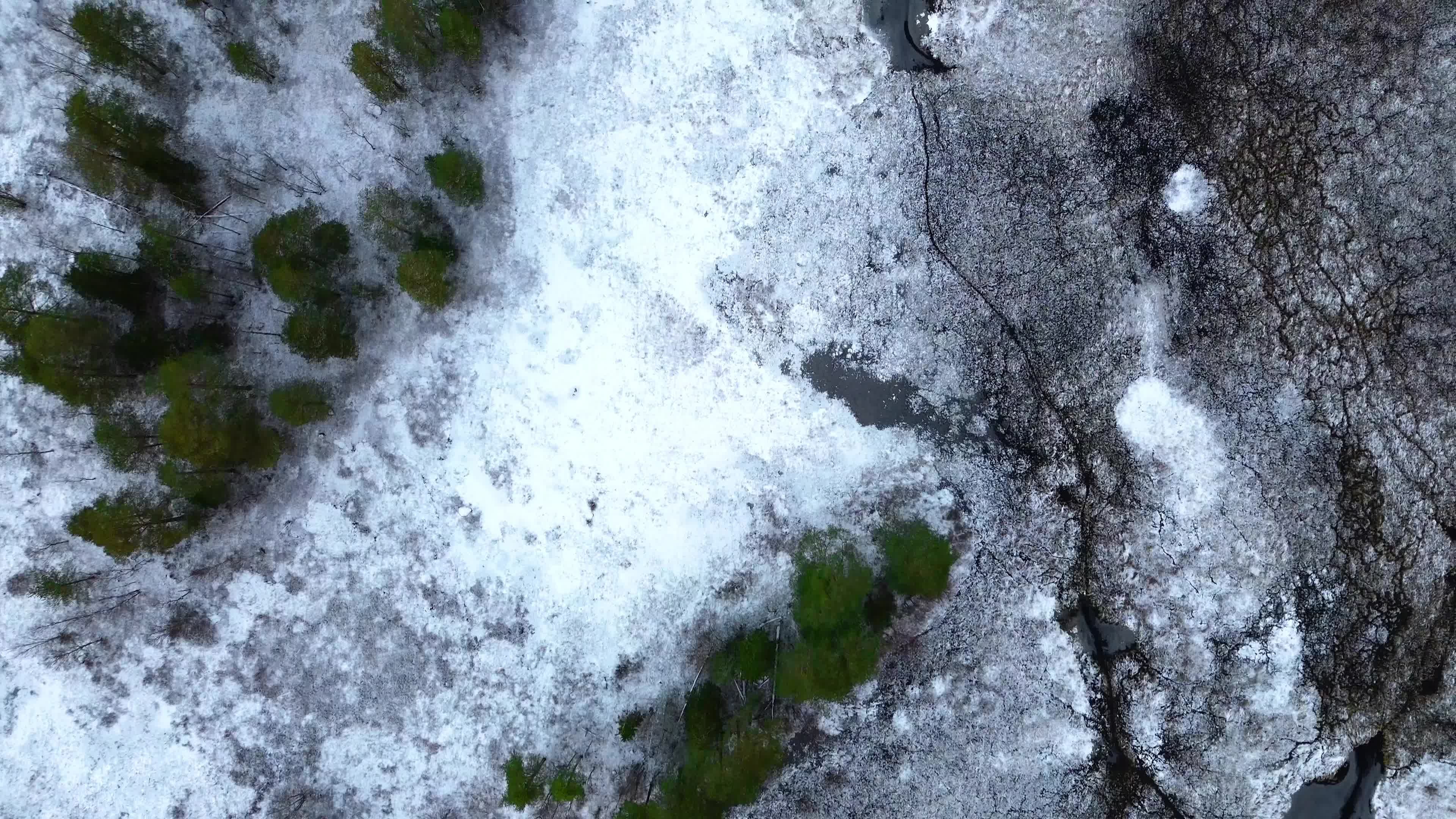 Video by SALAR ♛