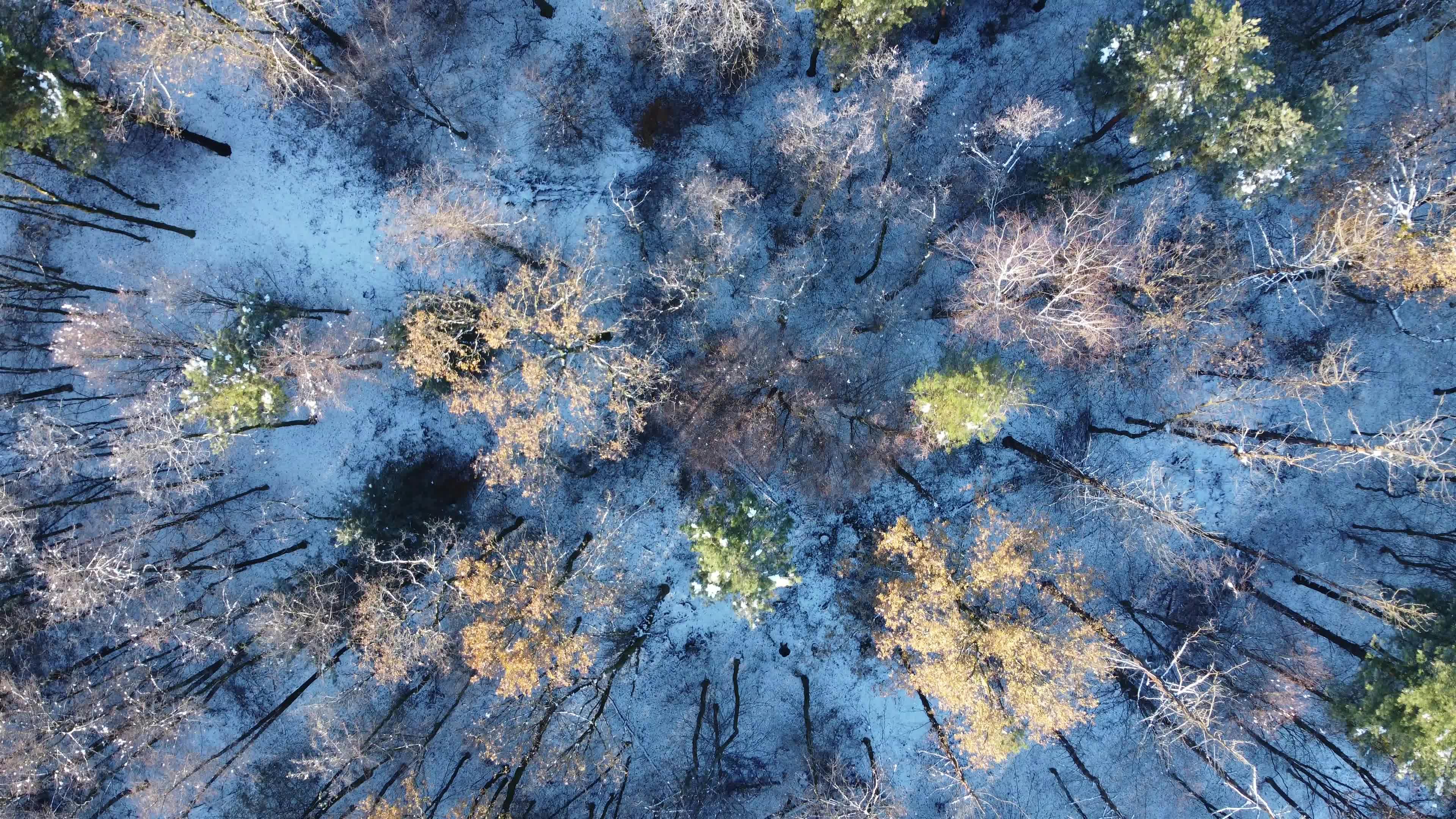 Vera Day Videos, Download The BEST Free 4k Stock Video Footage & Vera Day HD Video Clips