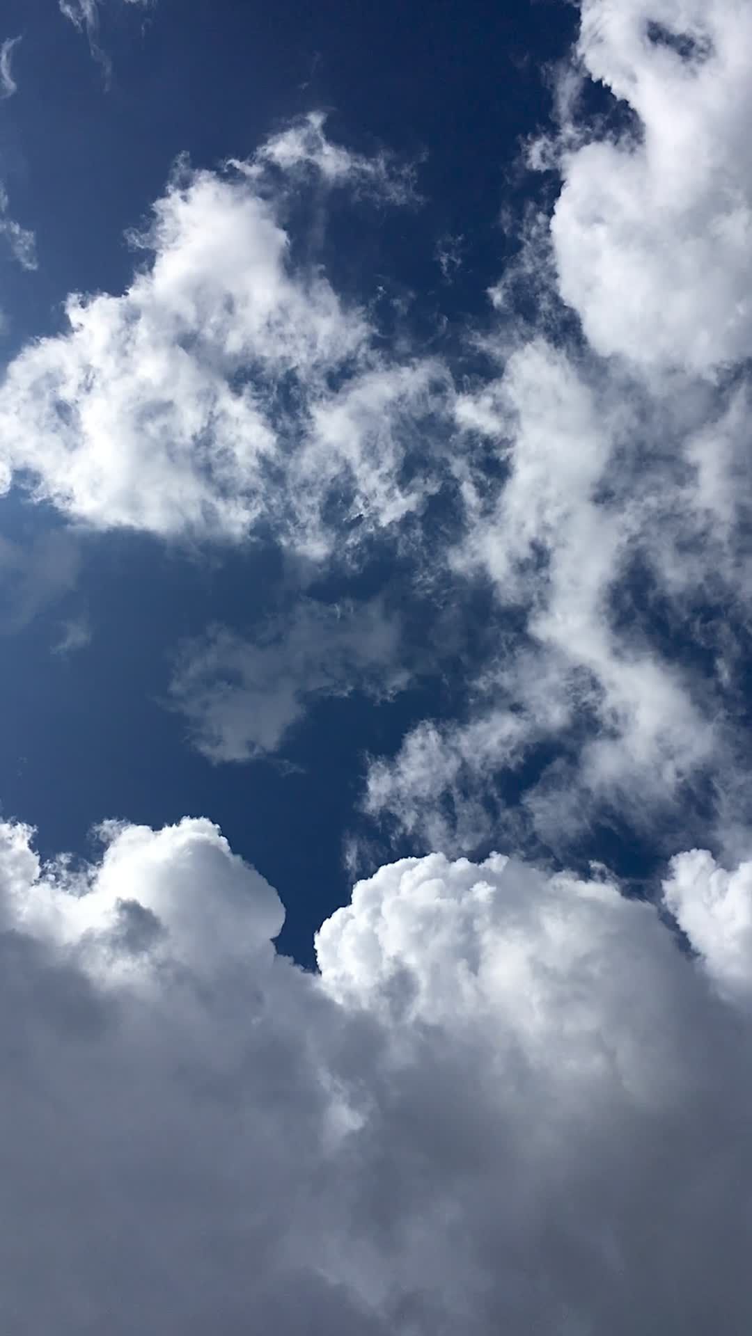 Video by Lydia Griva