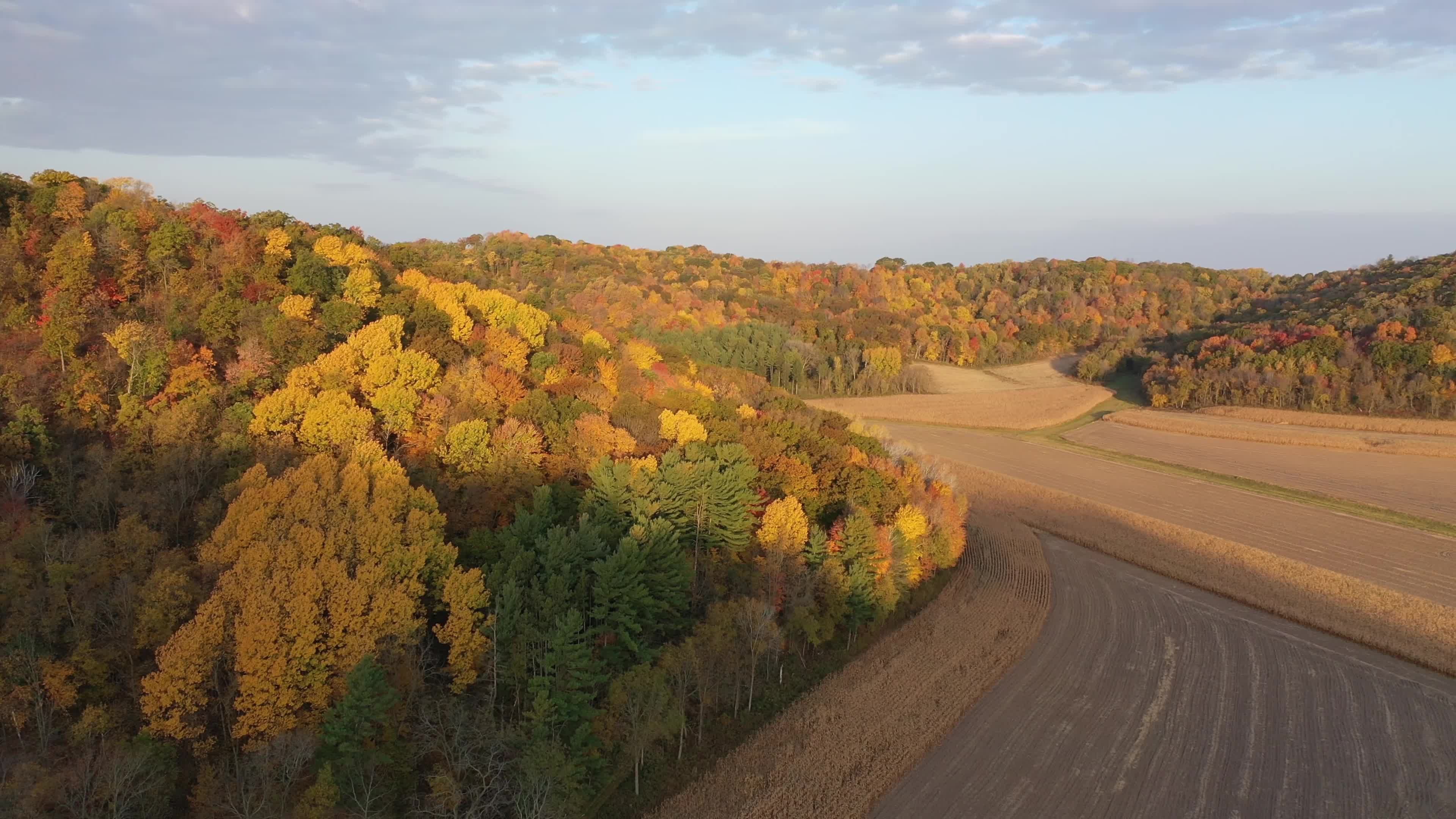Aerial View of Vibrant Autumn Landscape Free Stock Video Footage ...