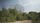 radio telescope