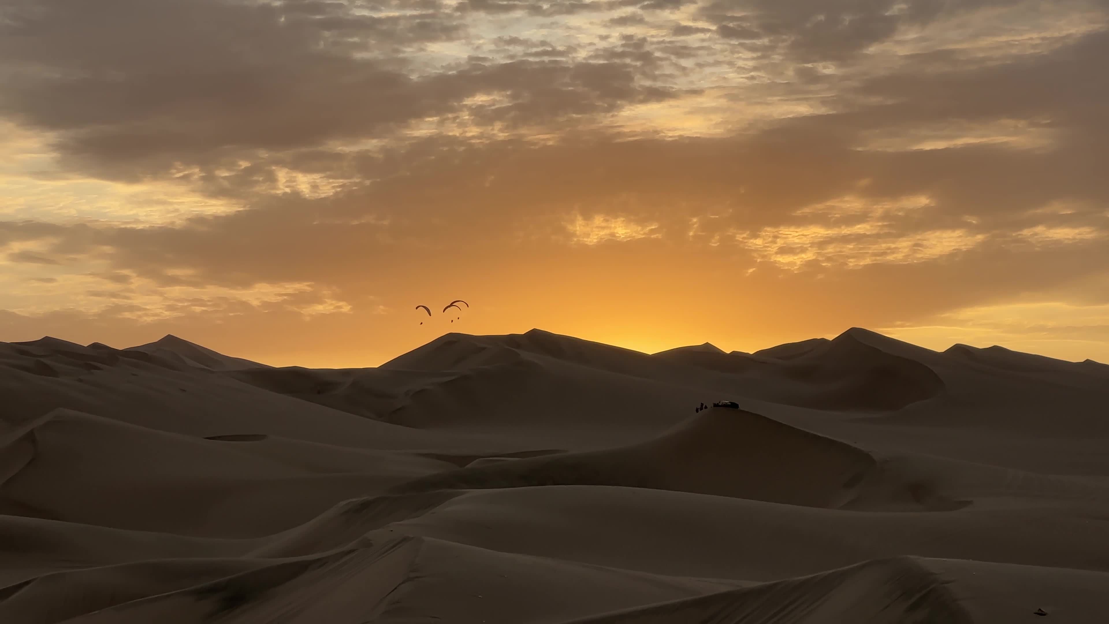 Desert Sunset with Flying Birds in Dunes Free Stock Video Footage ...