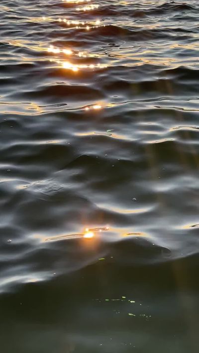 Esra Afşar's ocean waves sunset video
