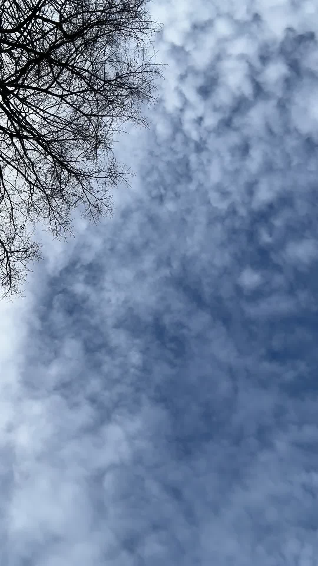 Timelapse of Fluffy Clouds in Blue Sky Free Stock Video Footage ...