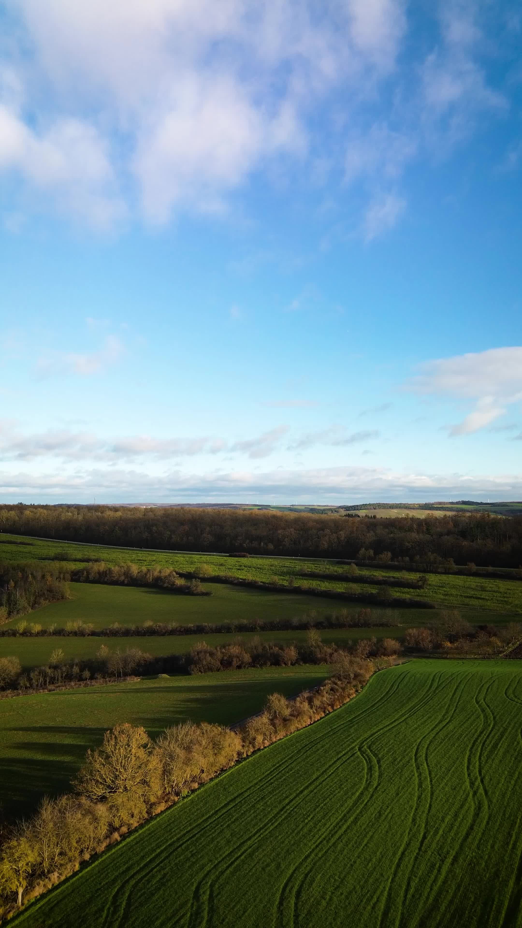 Aerial View of Lush Green Fields at Sunrise Free Stock Video Footage ...