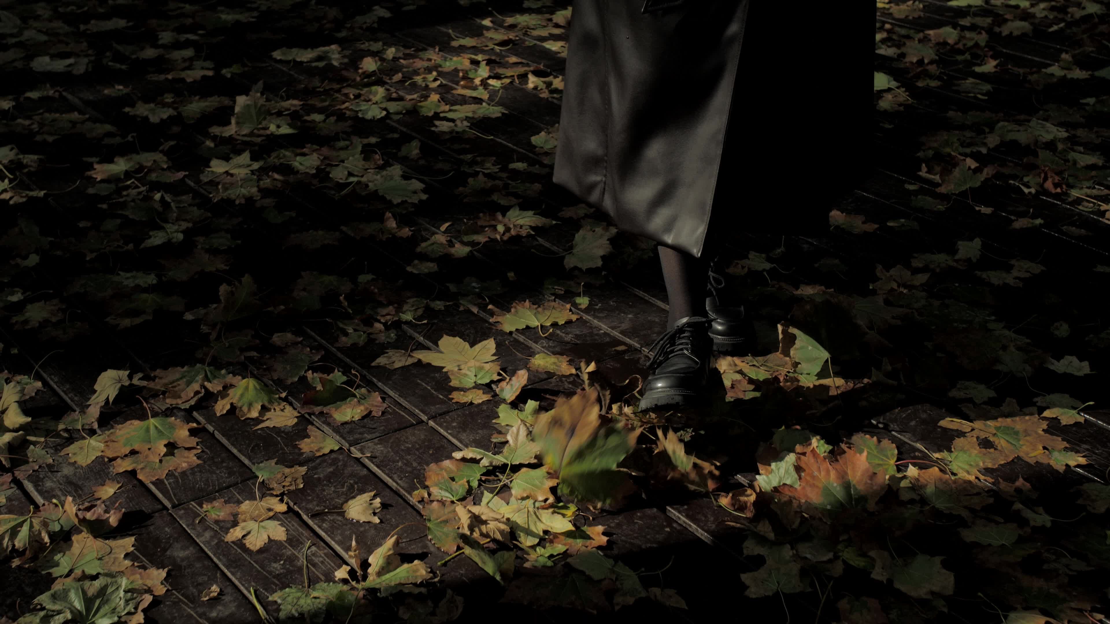 person walking on leaf covered path in autumn 29570839 — free pexels stock footage