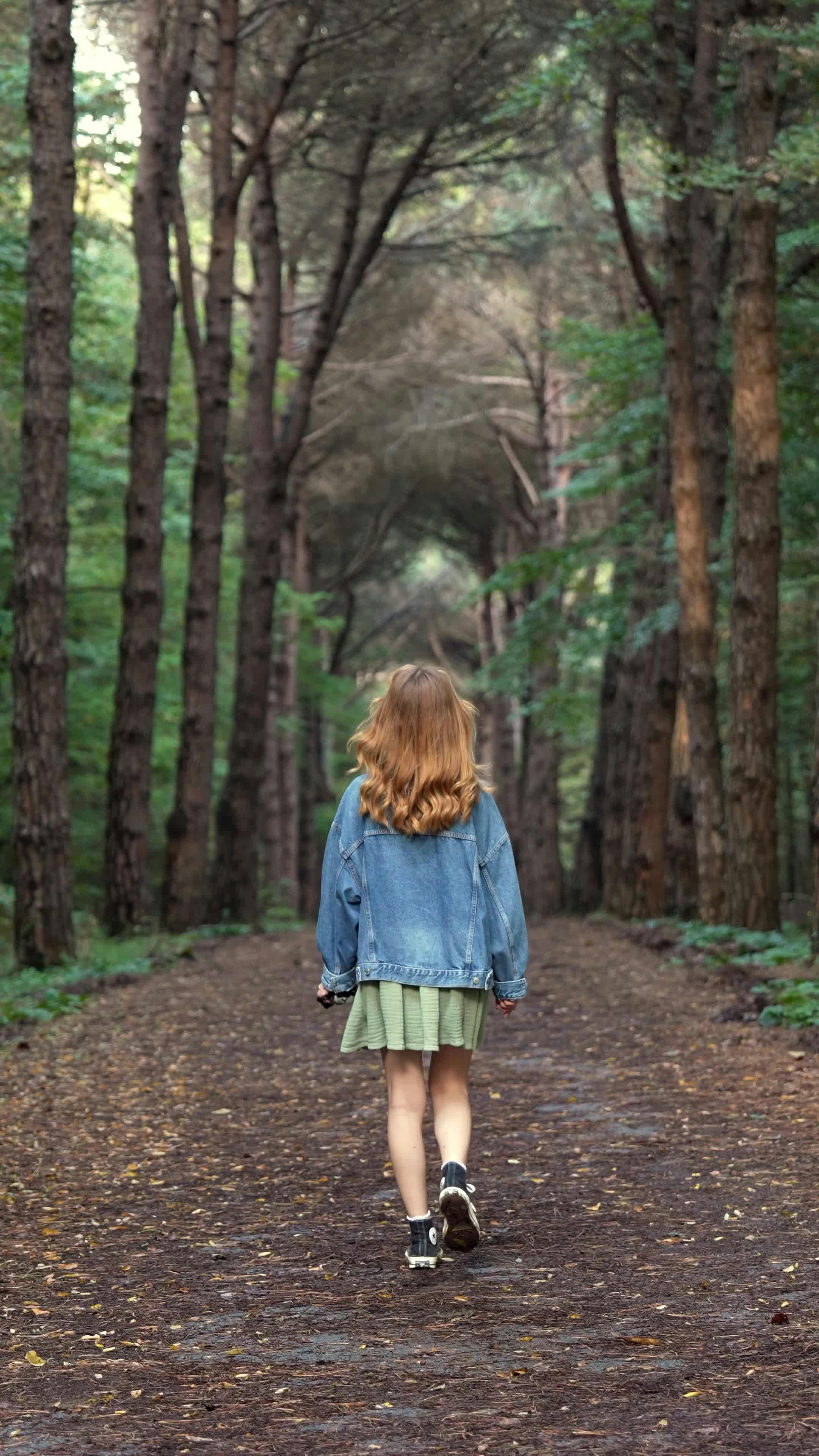 Walking In The Woods Videos, Download The BEST Free 4k Stock Video Footage & Walking In The