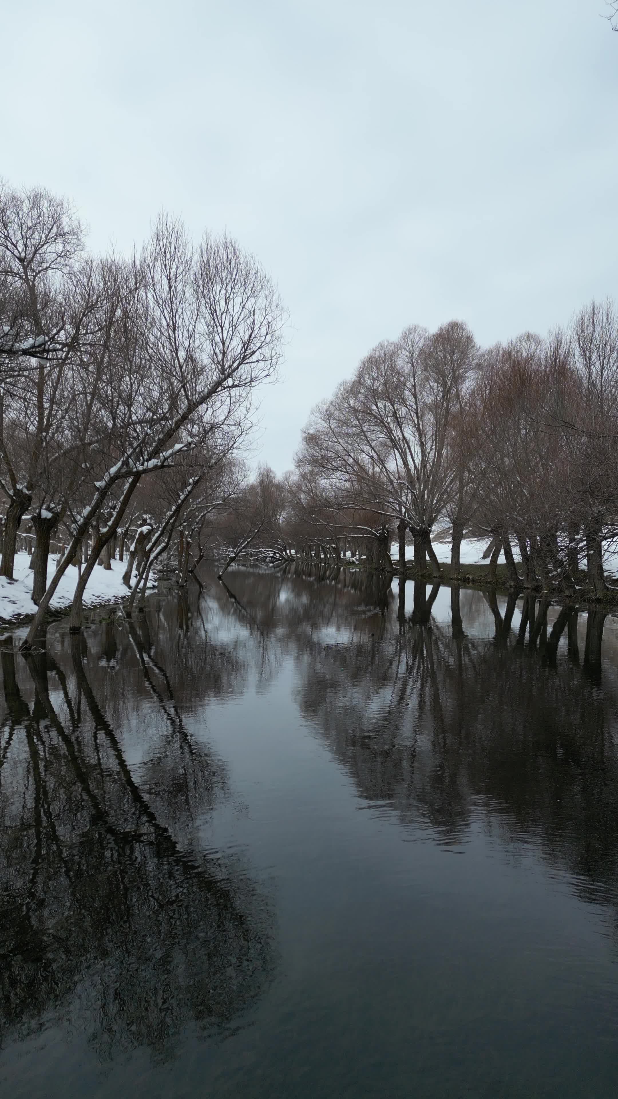 Serene Snowy River Reflects Bare Winter Trees Free Stock Video Footage ...