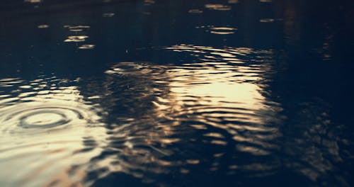 Wassertropfen Auf Der Wasseroberfläche Erzeugen Kreisförmige Wellen Als Reaktion